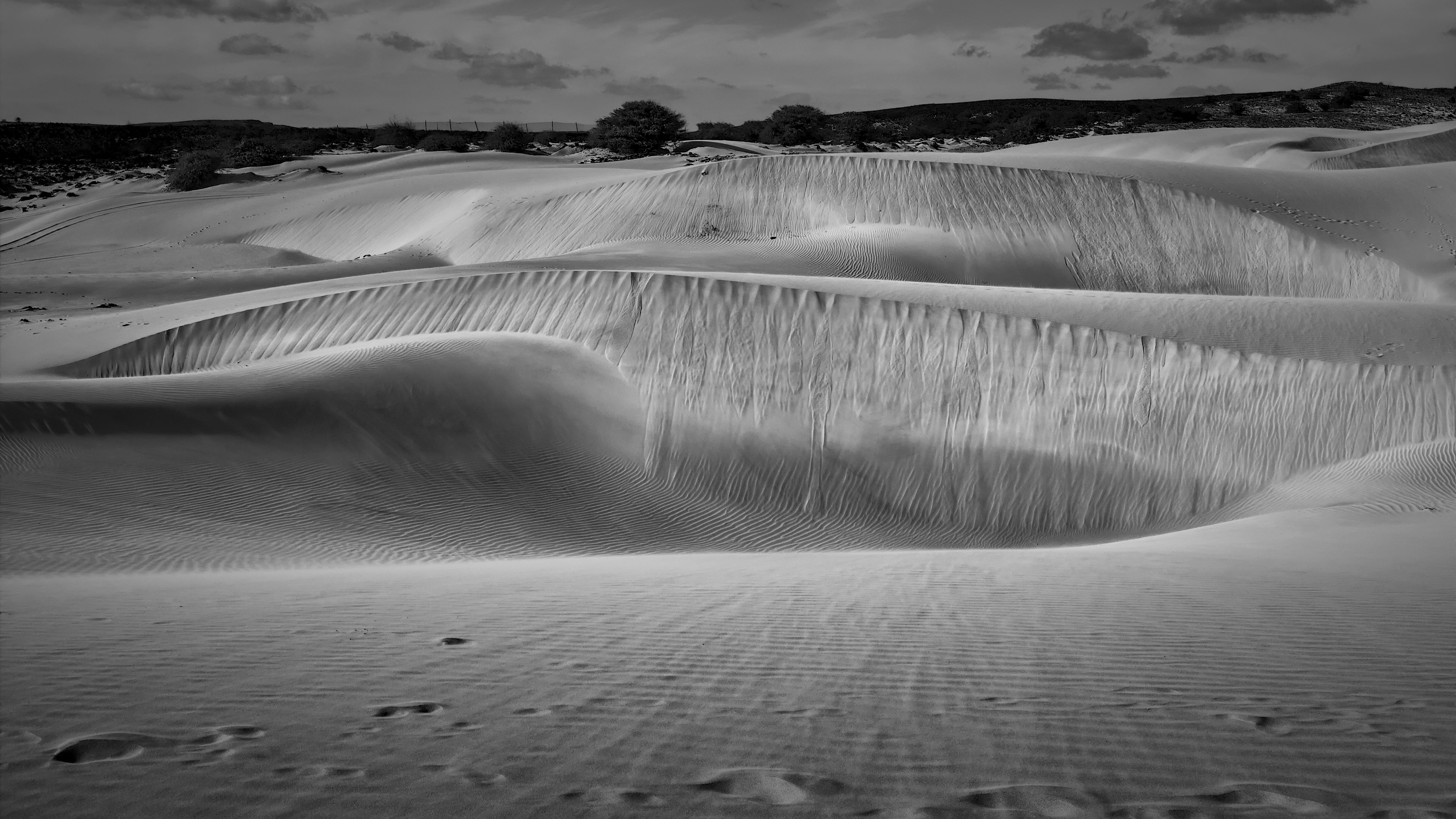 Photo by palees