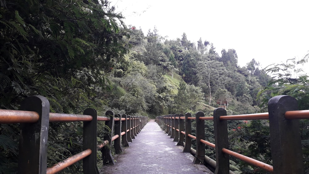 un pont au-dessus d’une rivière