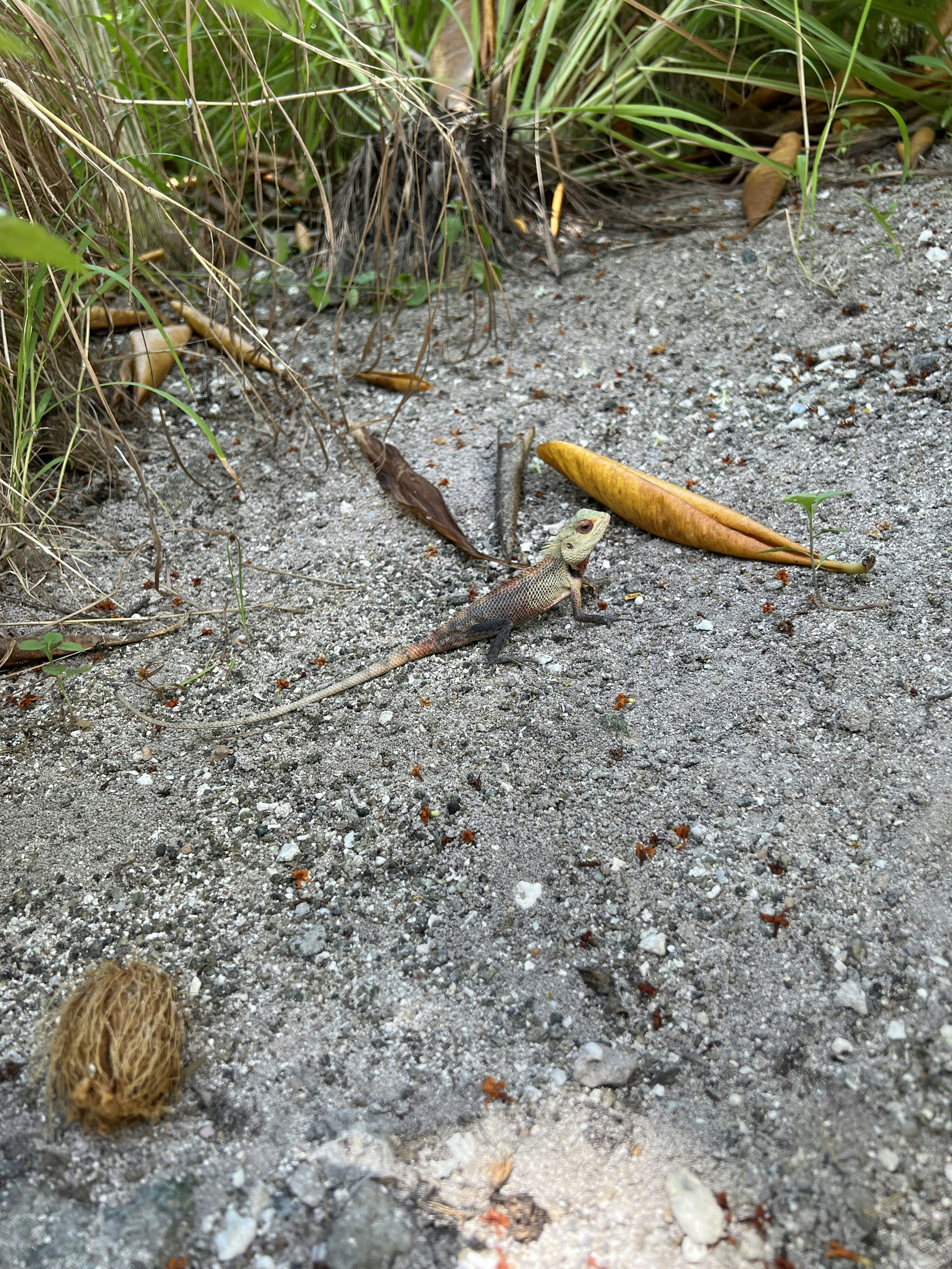 Imagen verticalPhoto1