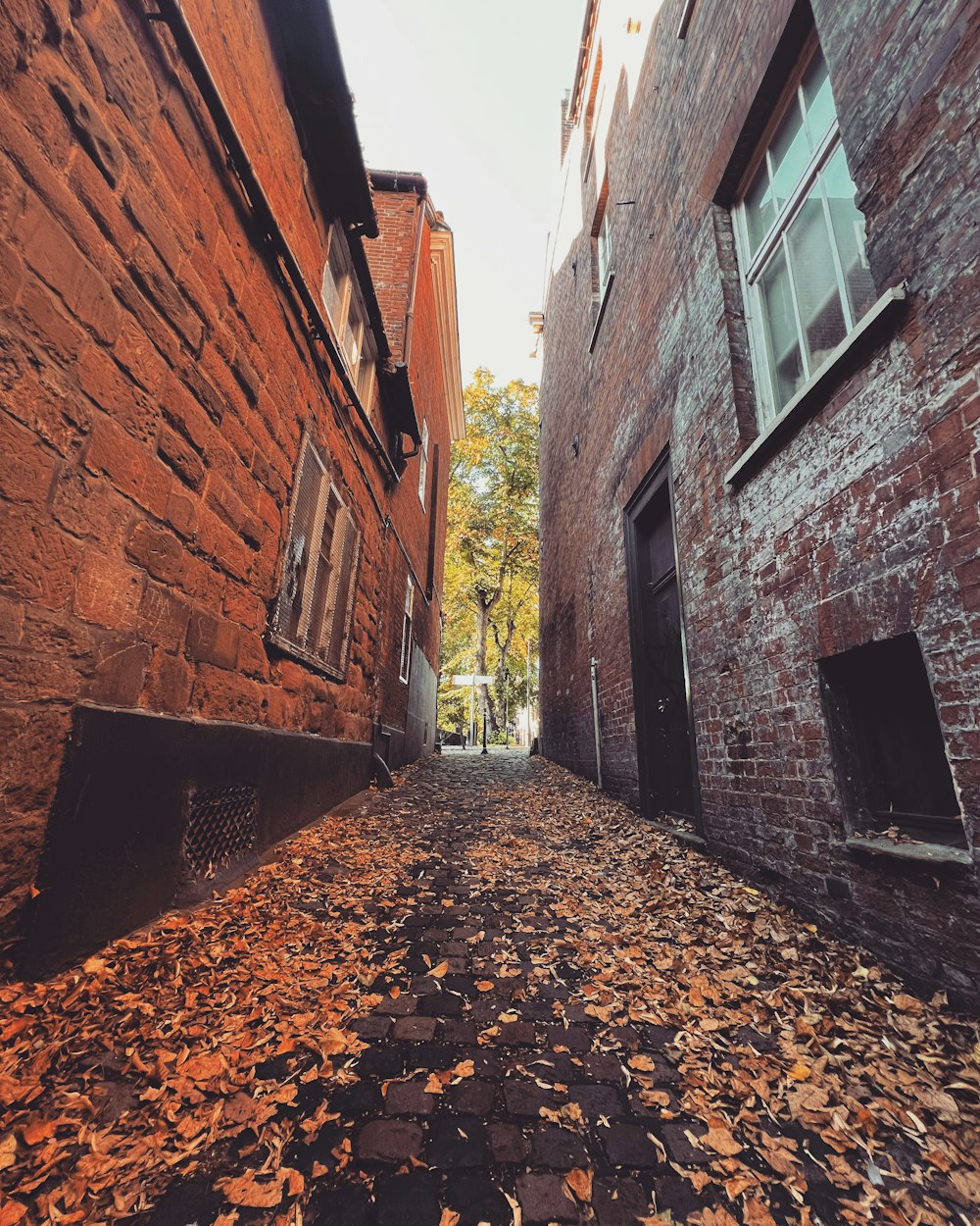 a path between two buildings