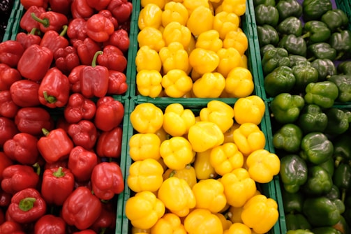 Bright green and red peppers neatly arranged in cold storage ready for global shipment.