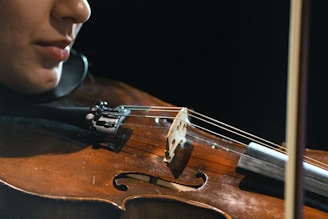 a person playing a violin