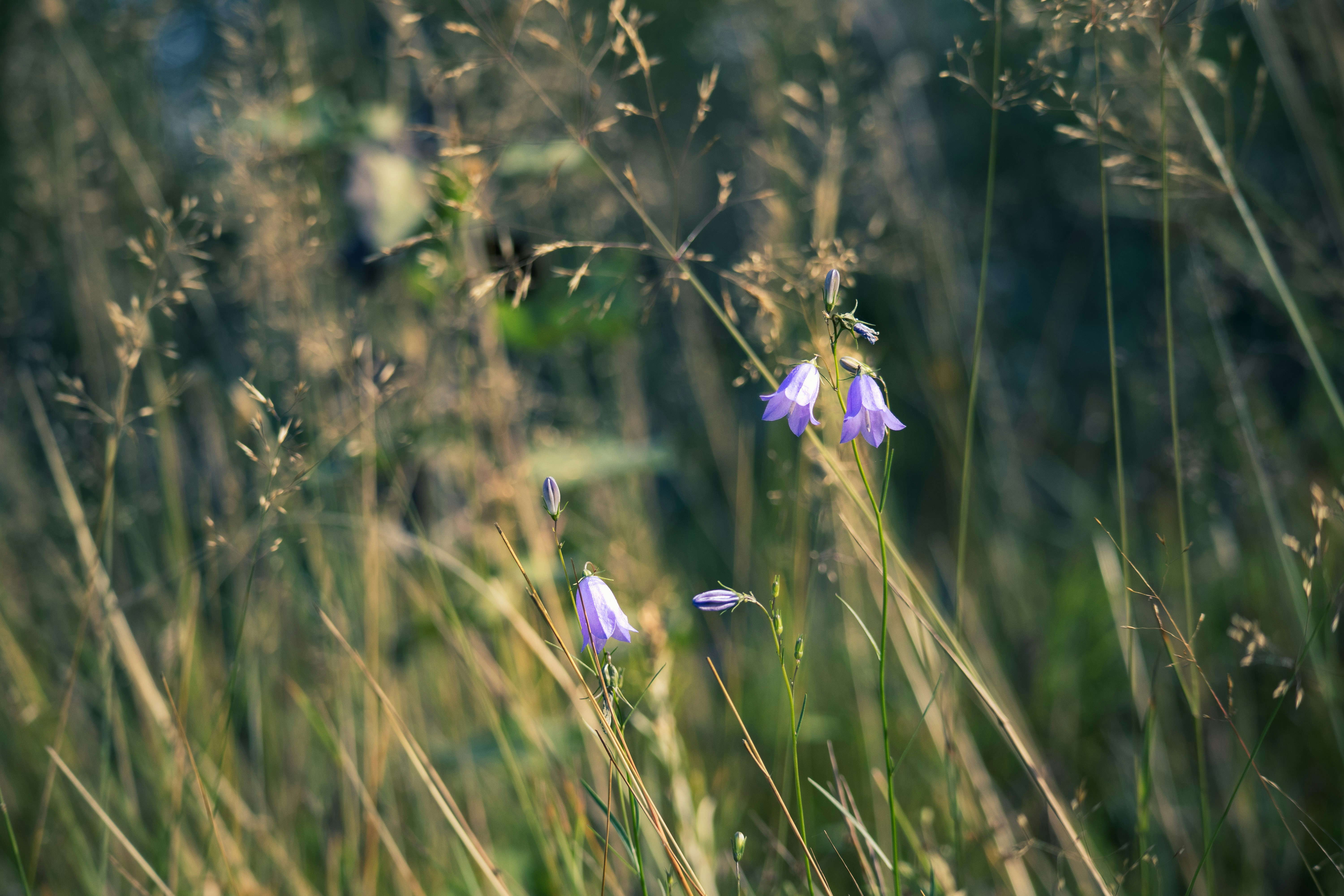 Photo by amandine_bataille_photo