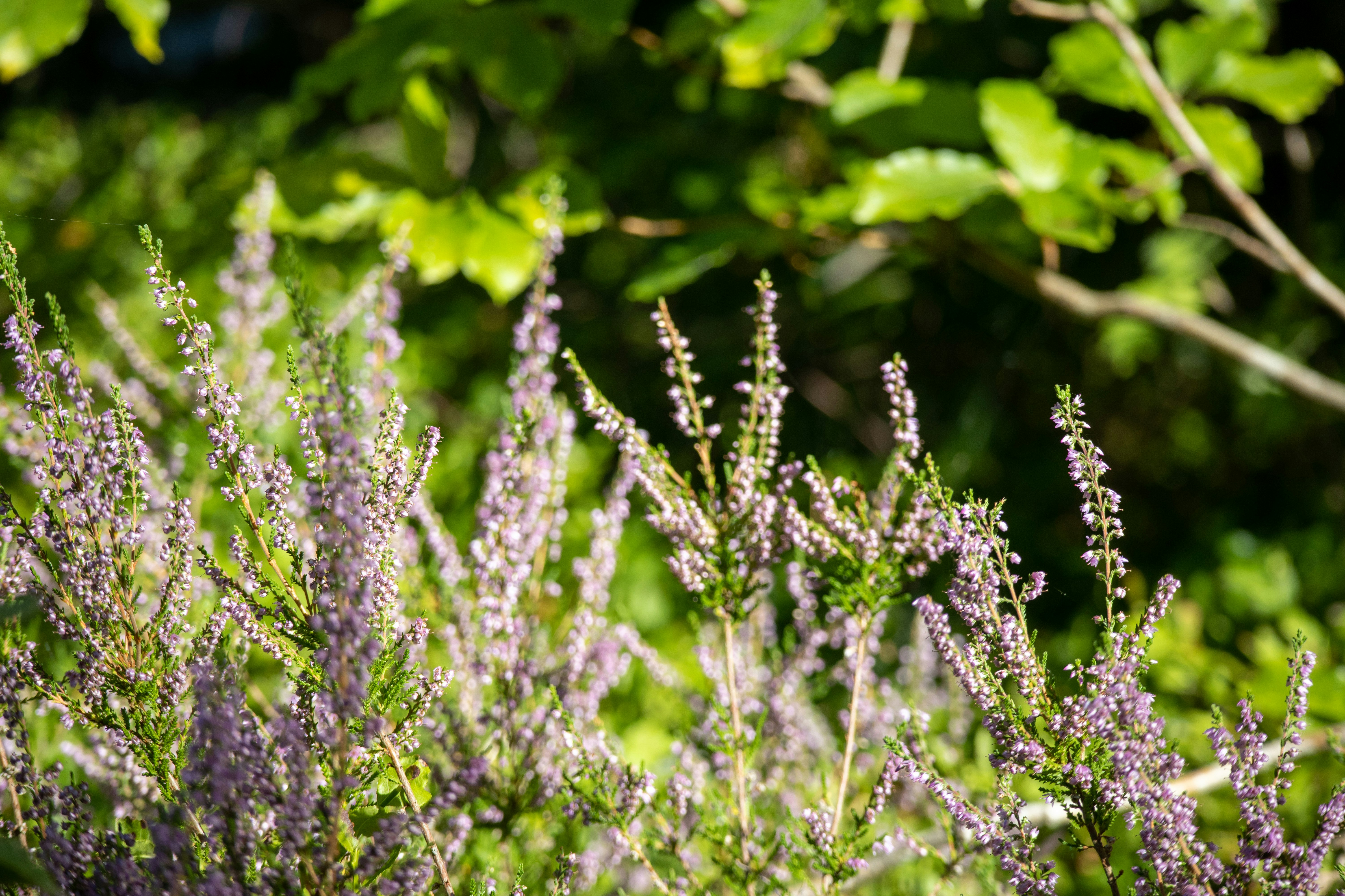 Photo by amandine_bataille_photo