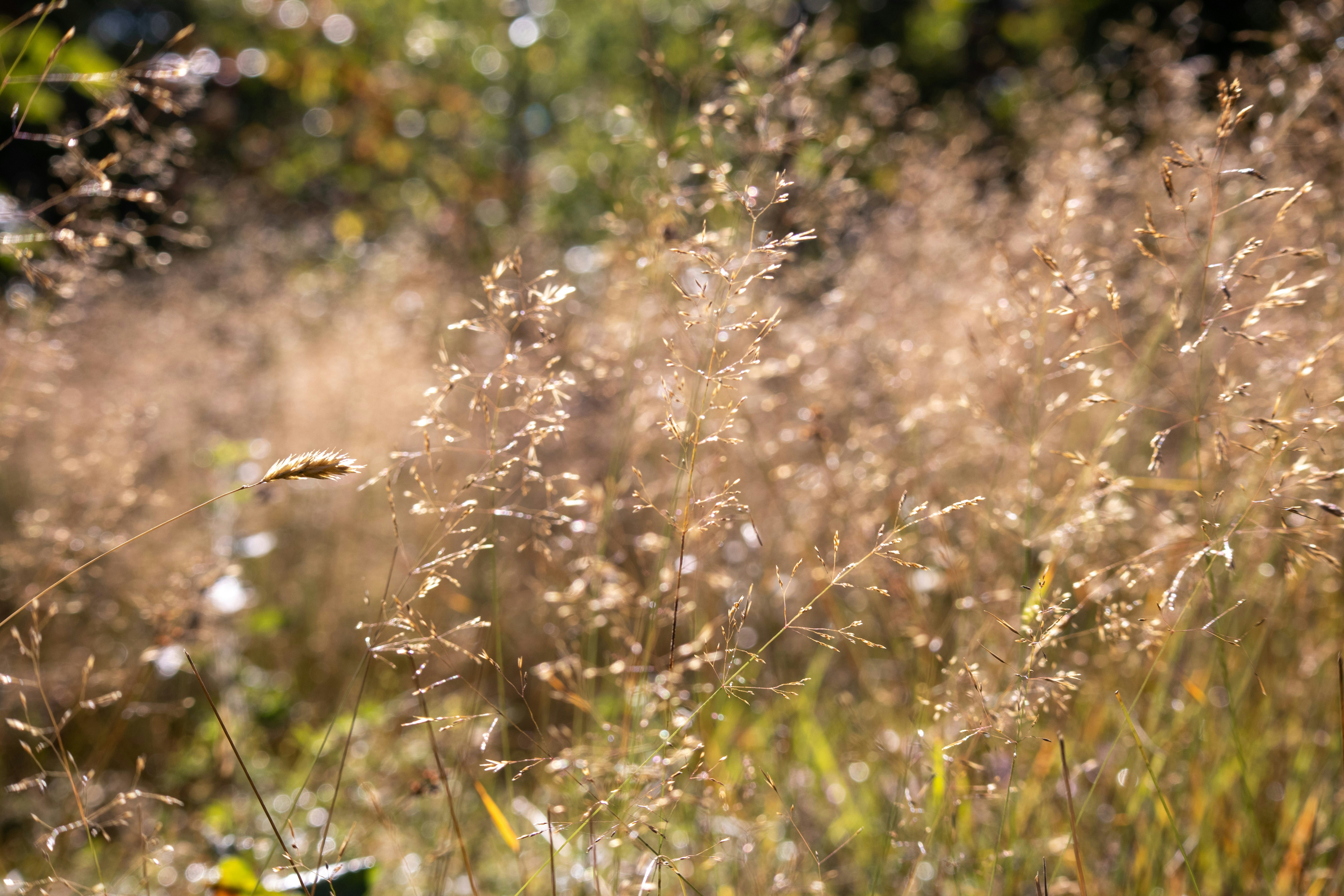 Photo by amandine_bataille_photo