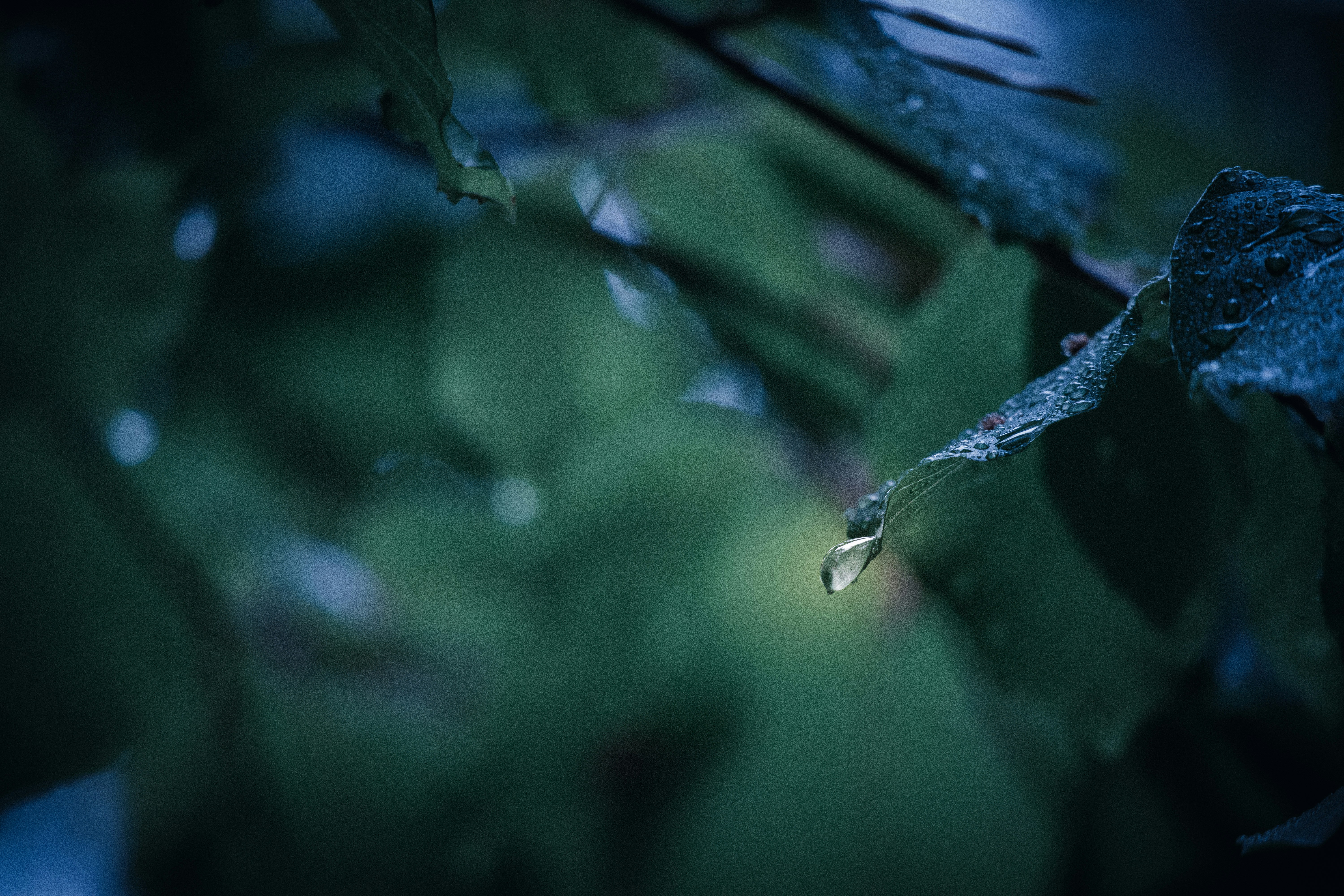 Photo by amandine_bataille_photo