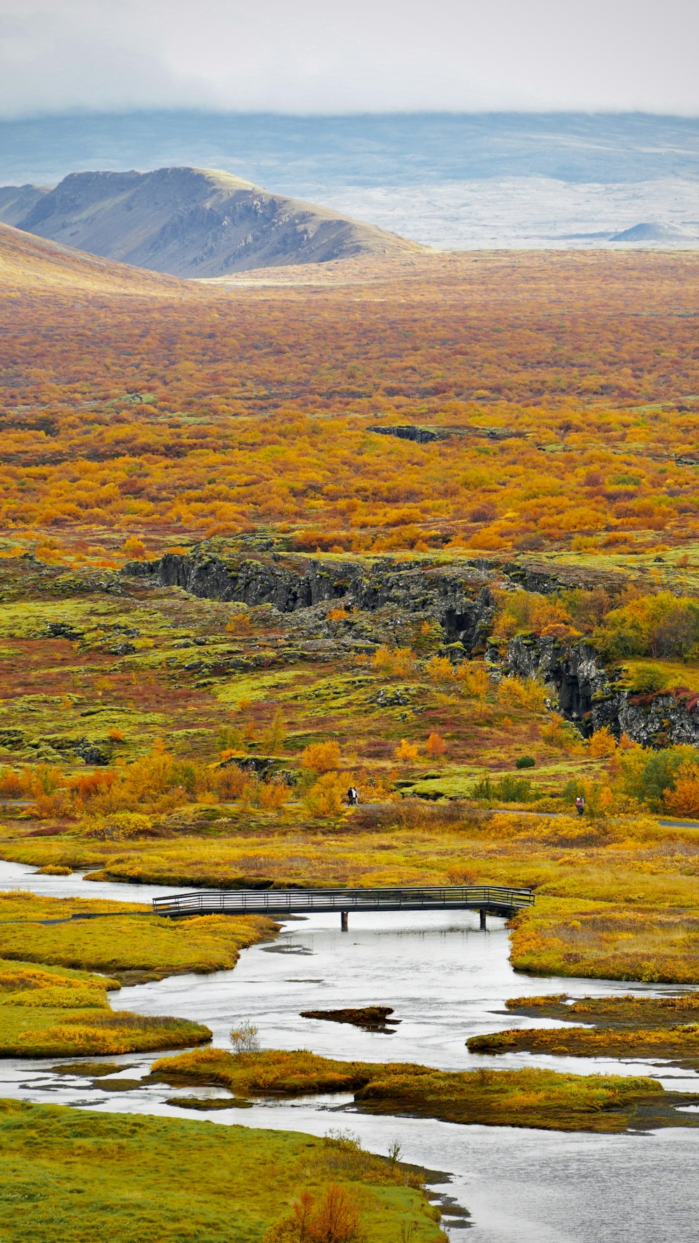 a river running through a beautiful landscape