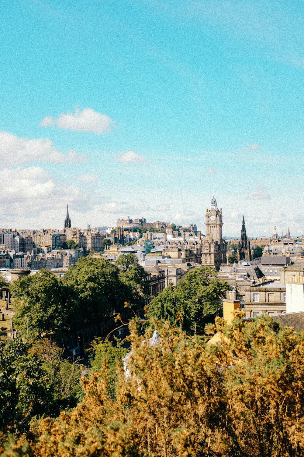 a city with trees and buildings