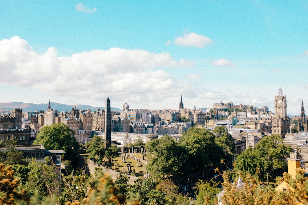 a city with trees and buildings