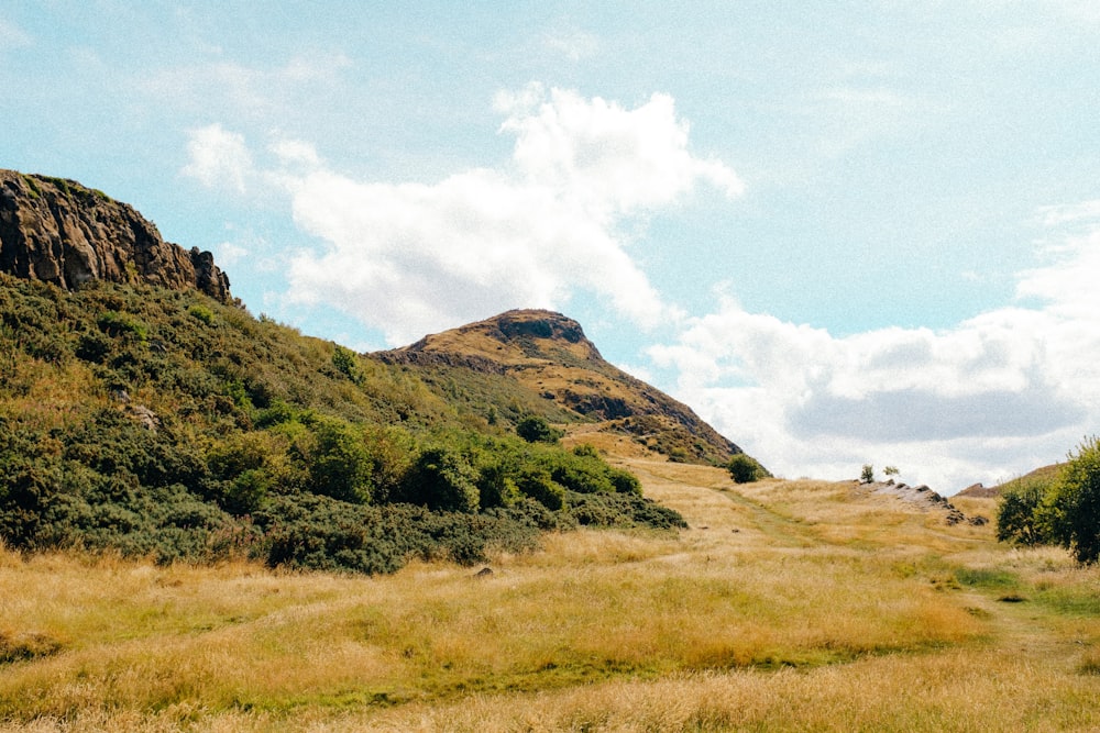 a grassy area with hills in the background