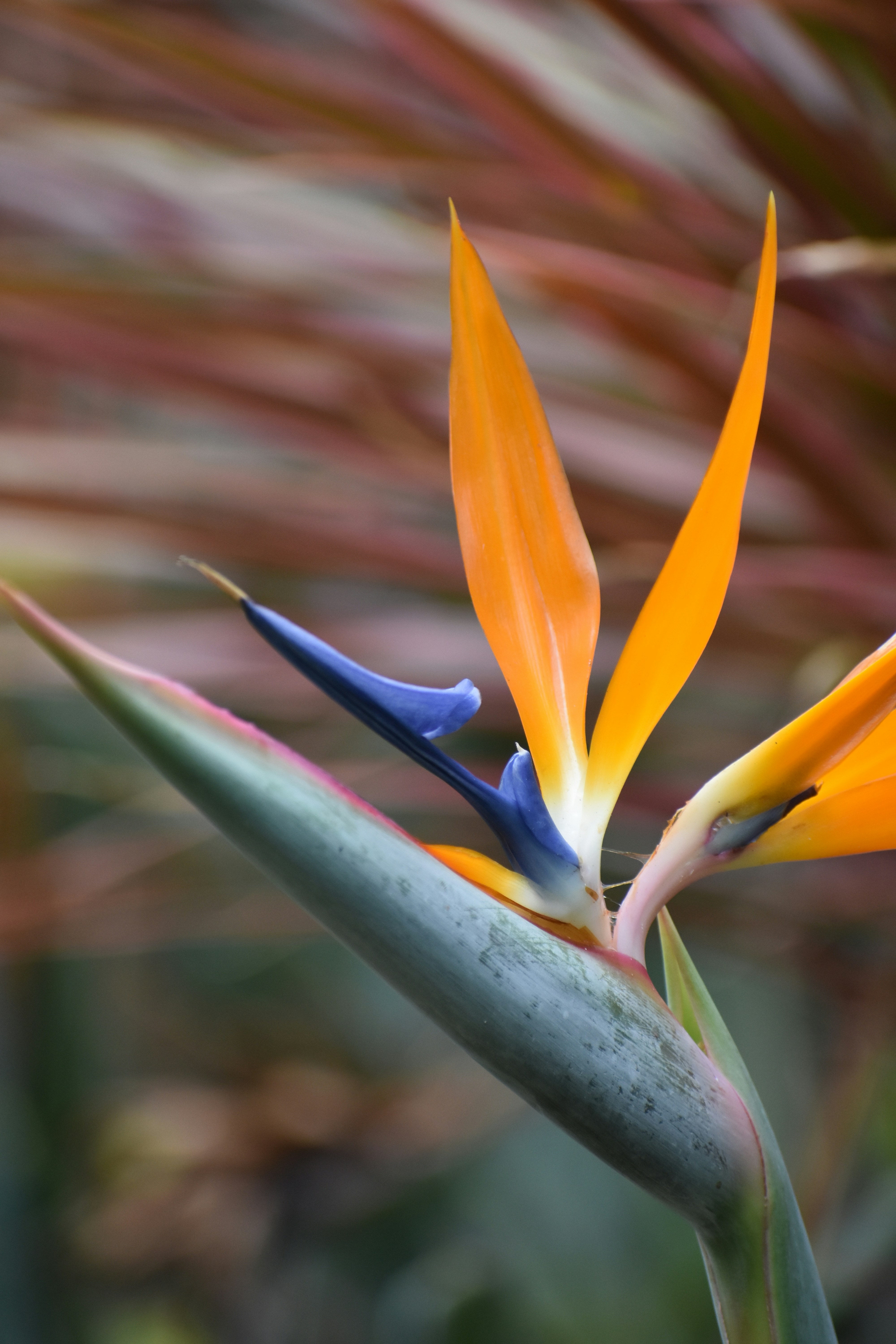 Photo by janinekrobinson