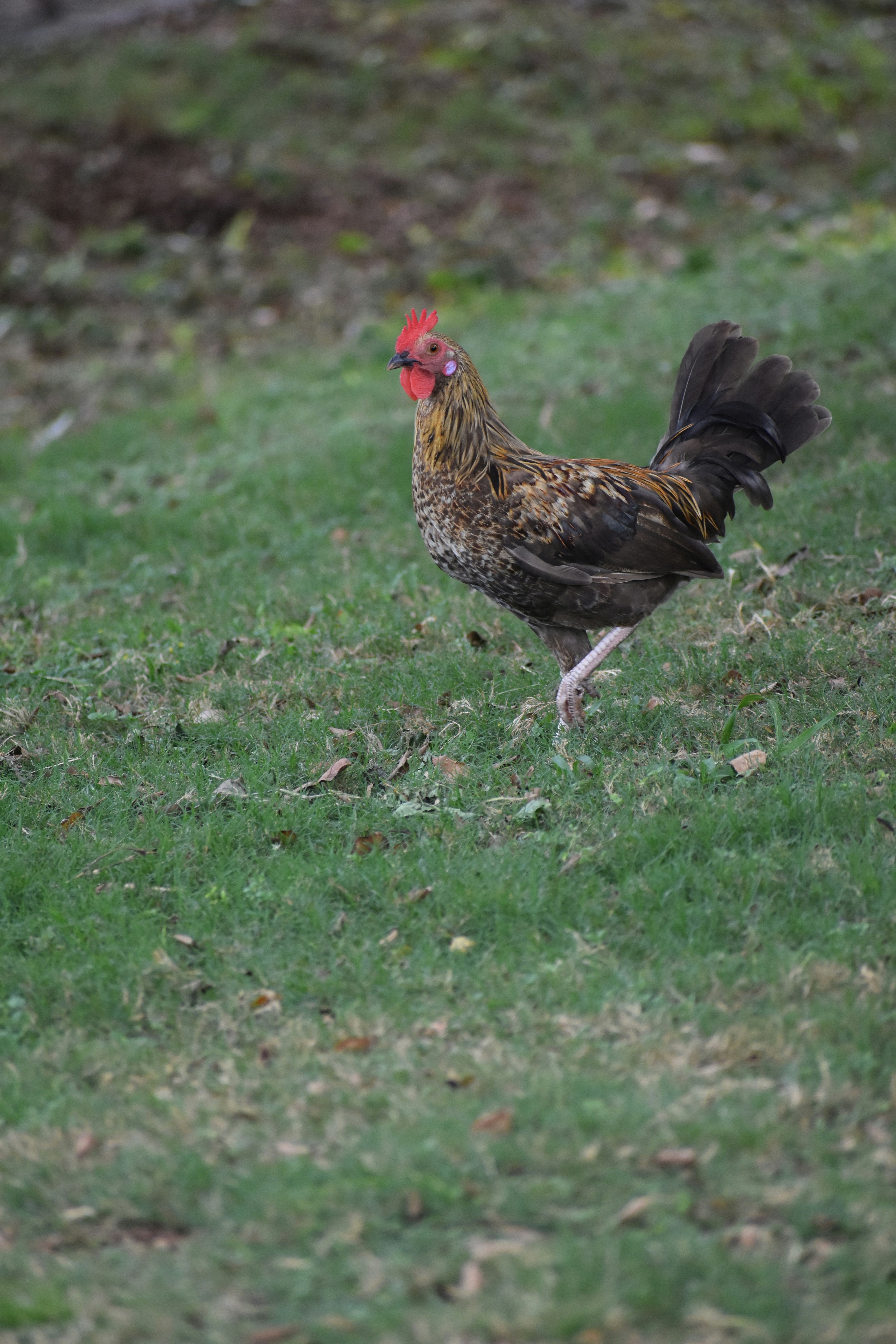 Photo by janinekrobinson