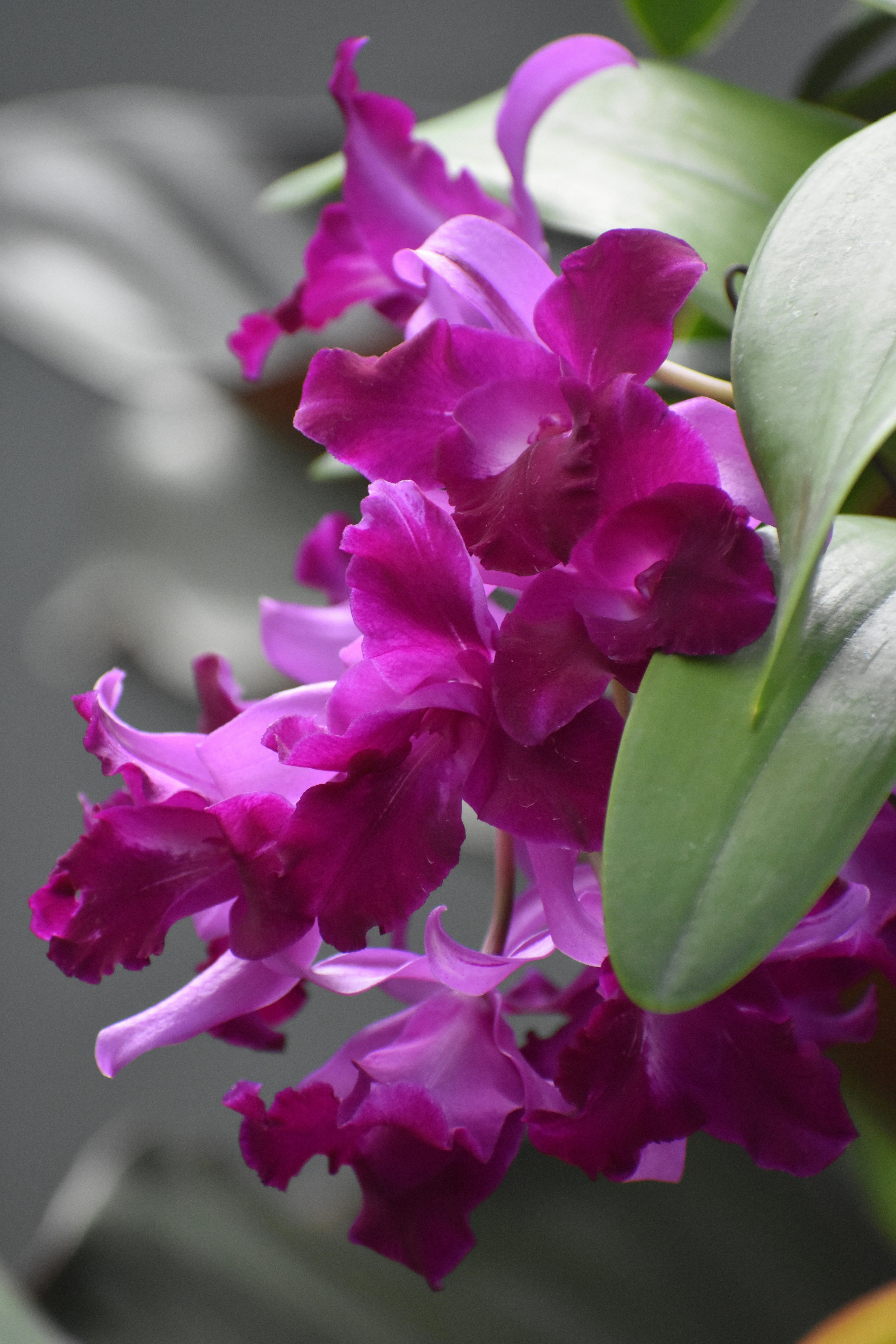 Photo by janinekrobinson