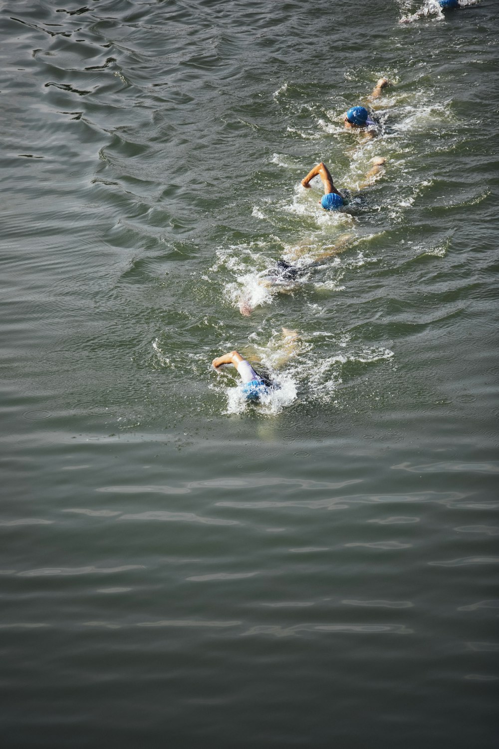 people swimming in the water