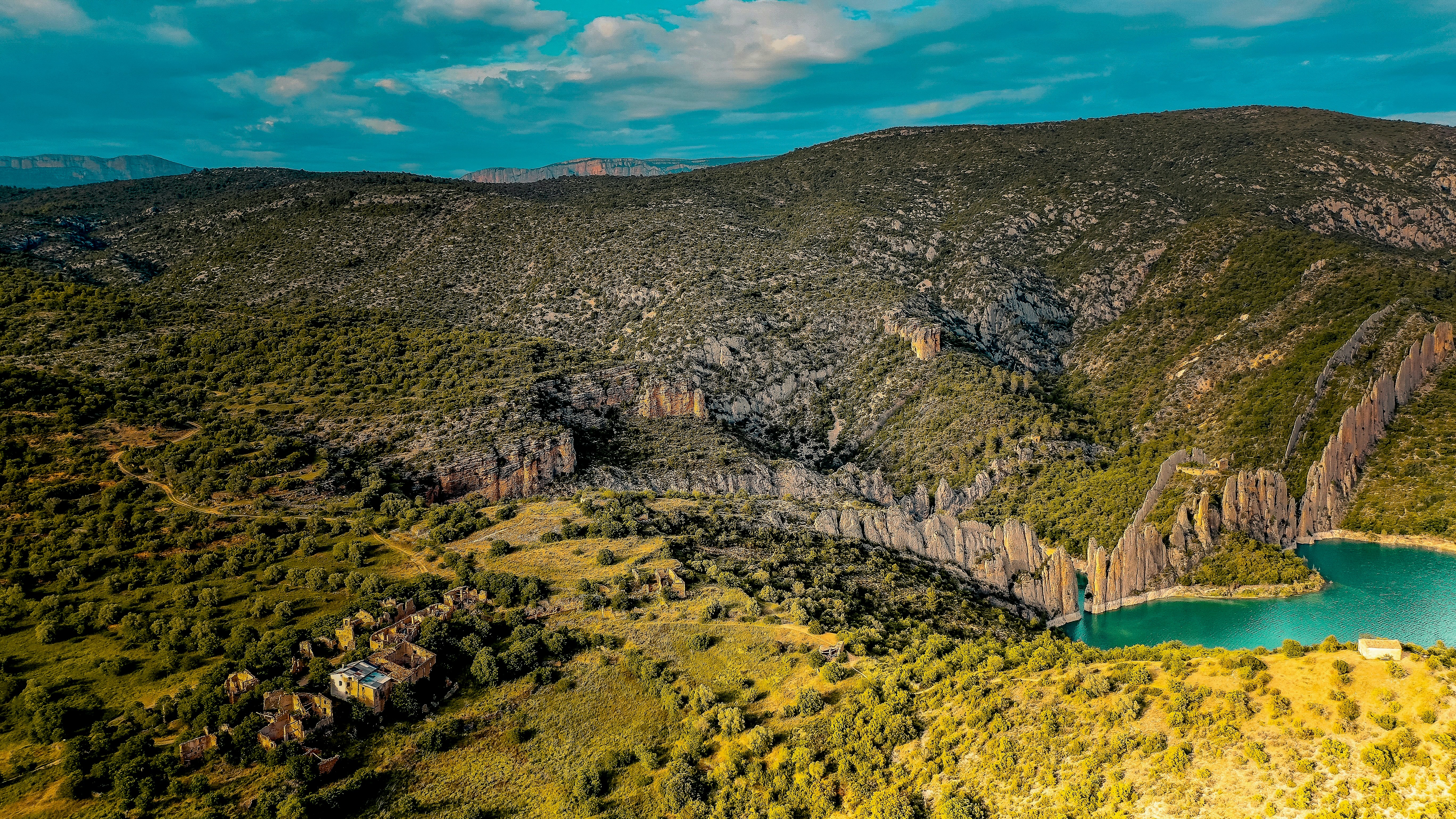 Katarzyna Wasick w finale 50 m stylem dowolnym na igrzyskach olimpijskich w Paryżu