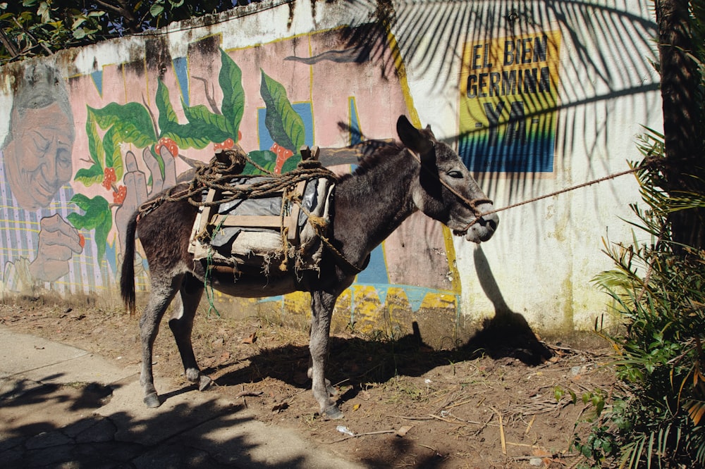 a donkey with a saddle