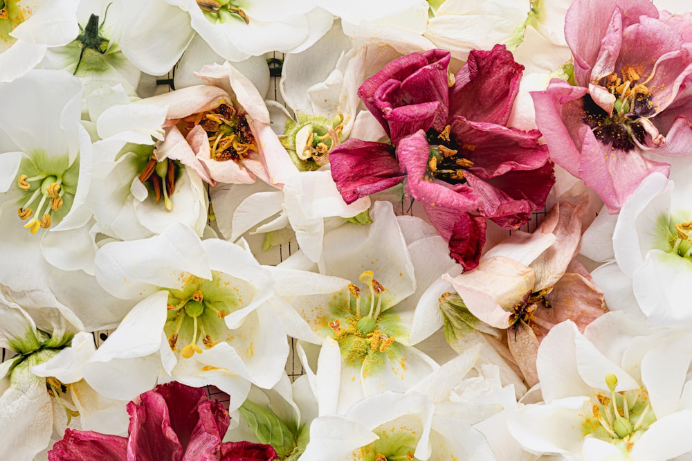 a group of flowers