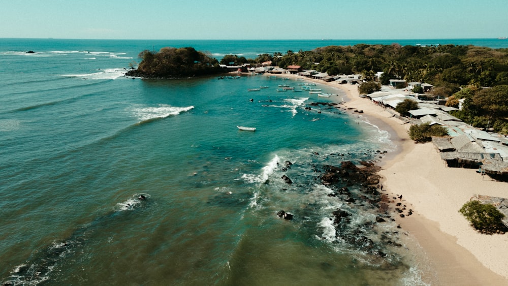 a beach with trees and water