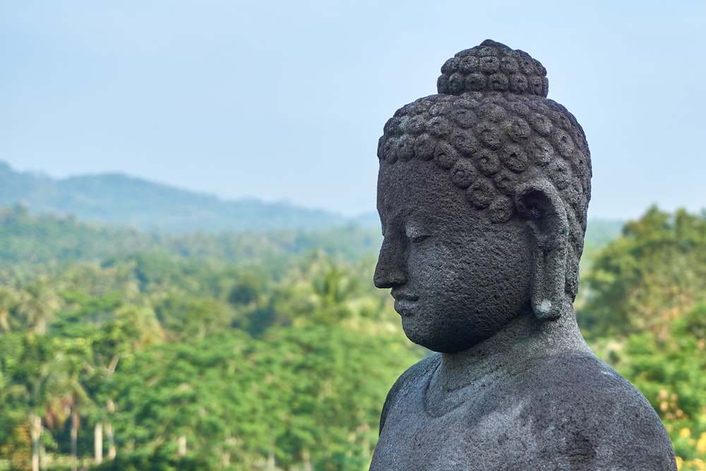 a statue of a man with trees in the background