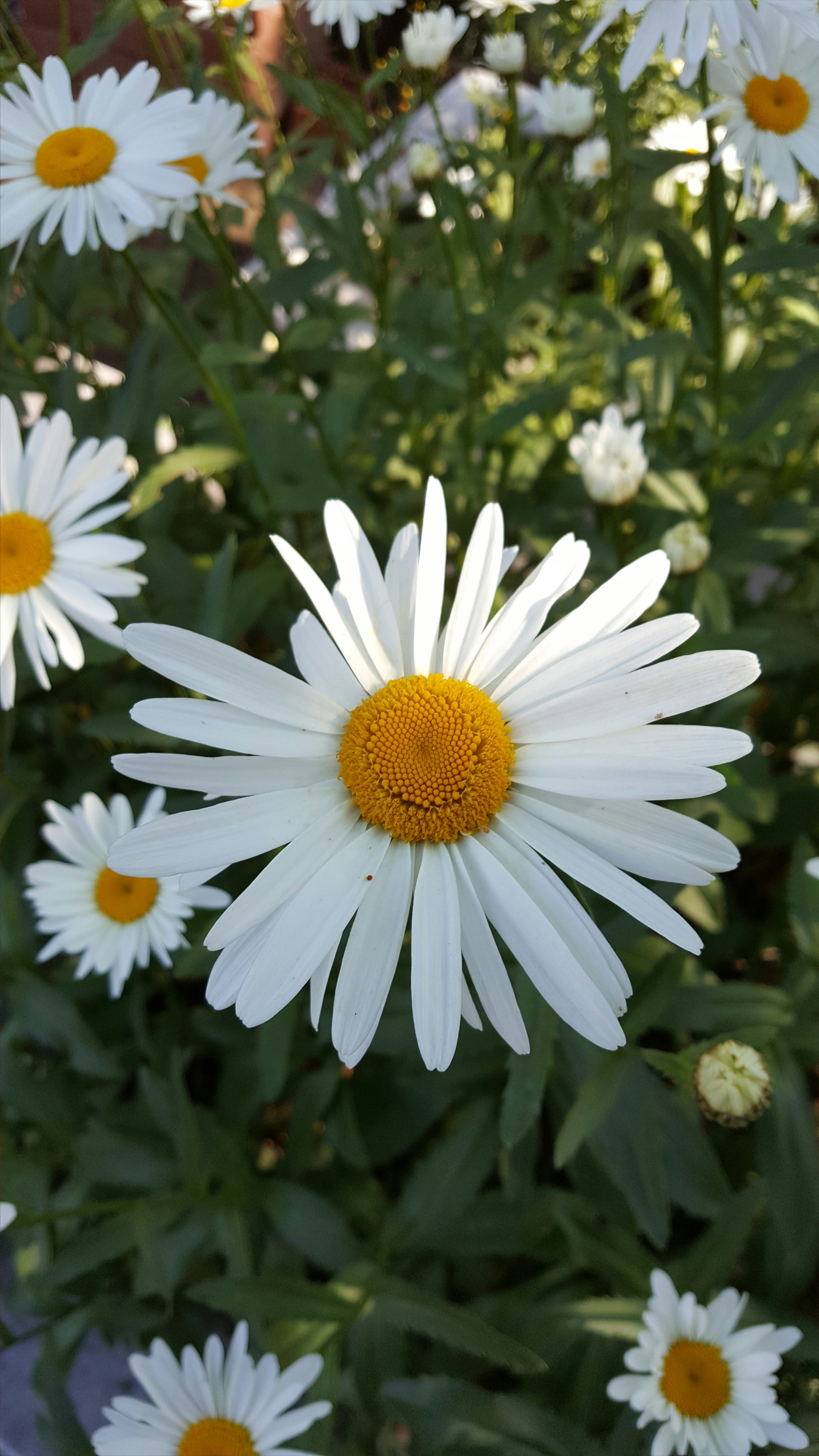 Photo by diagramjamal