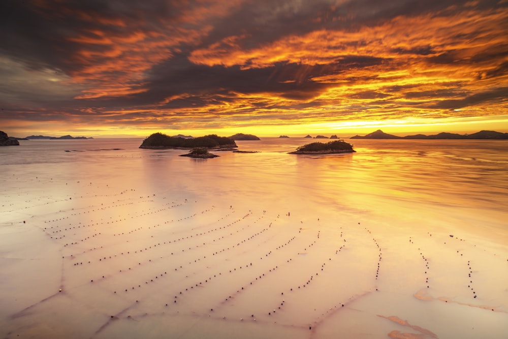 a snowy beach at sunset