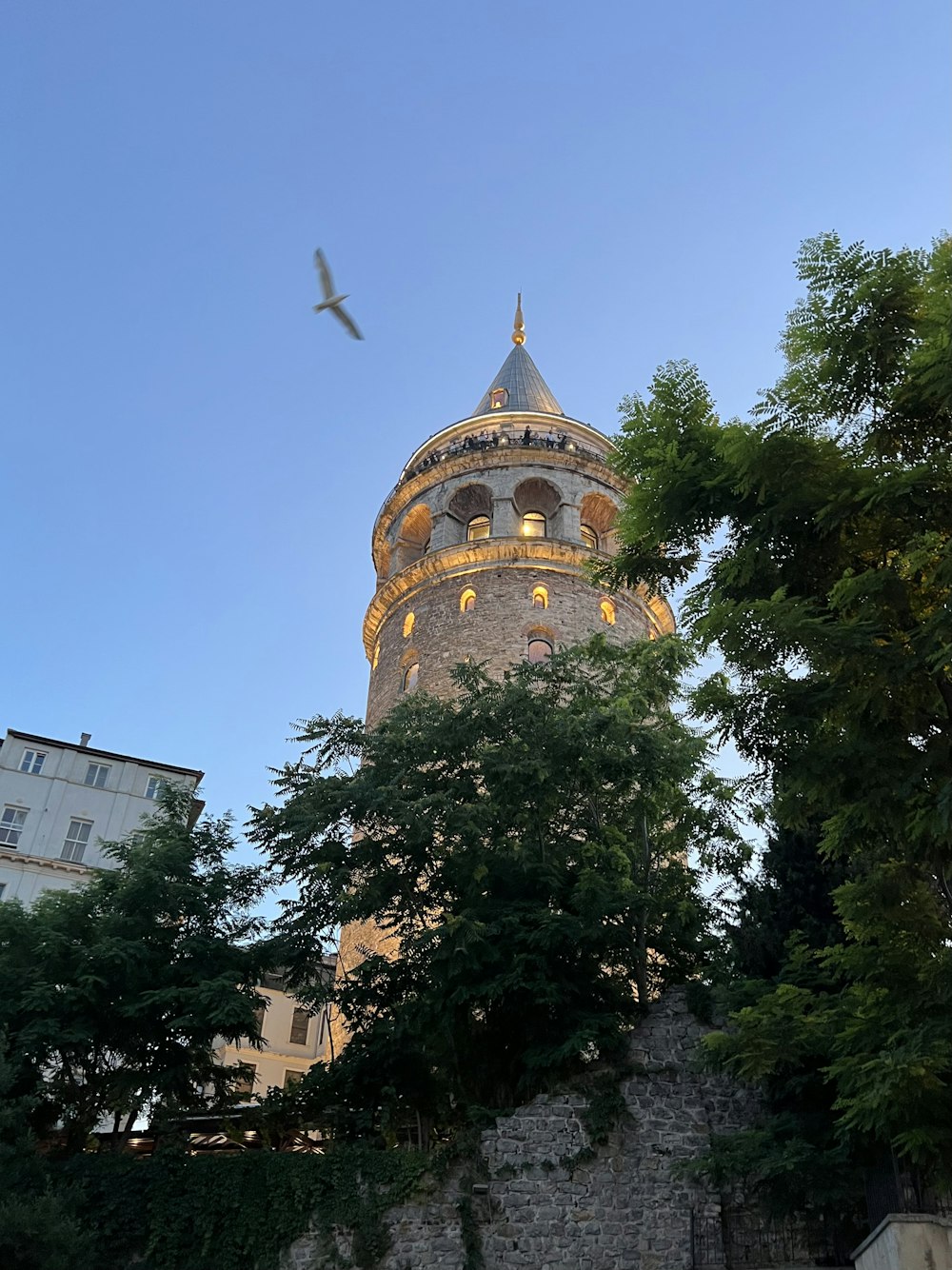 a bird flying over a building