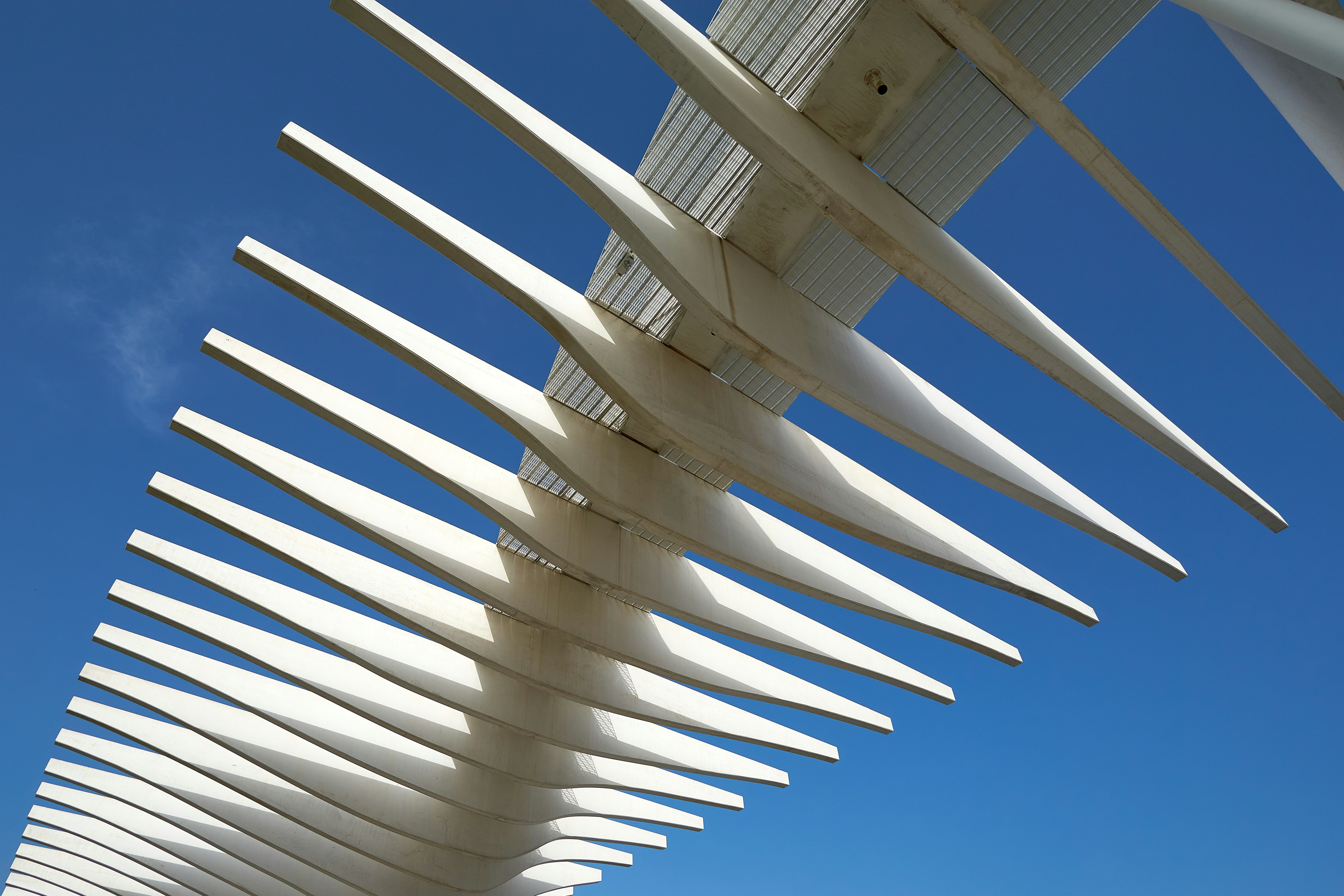 Photo by valeriano78