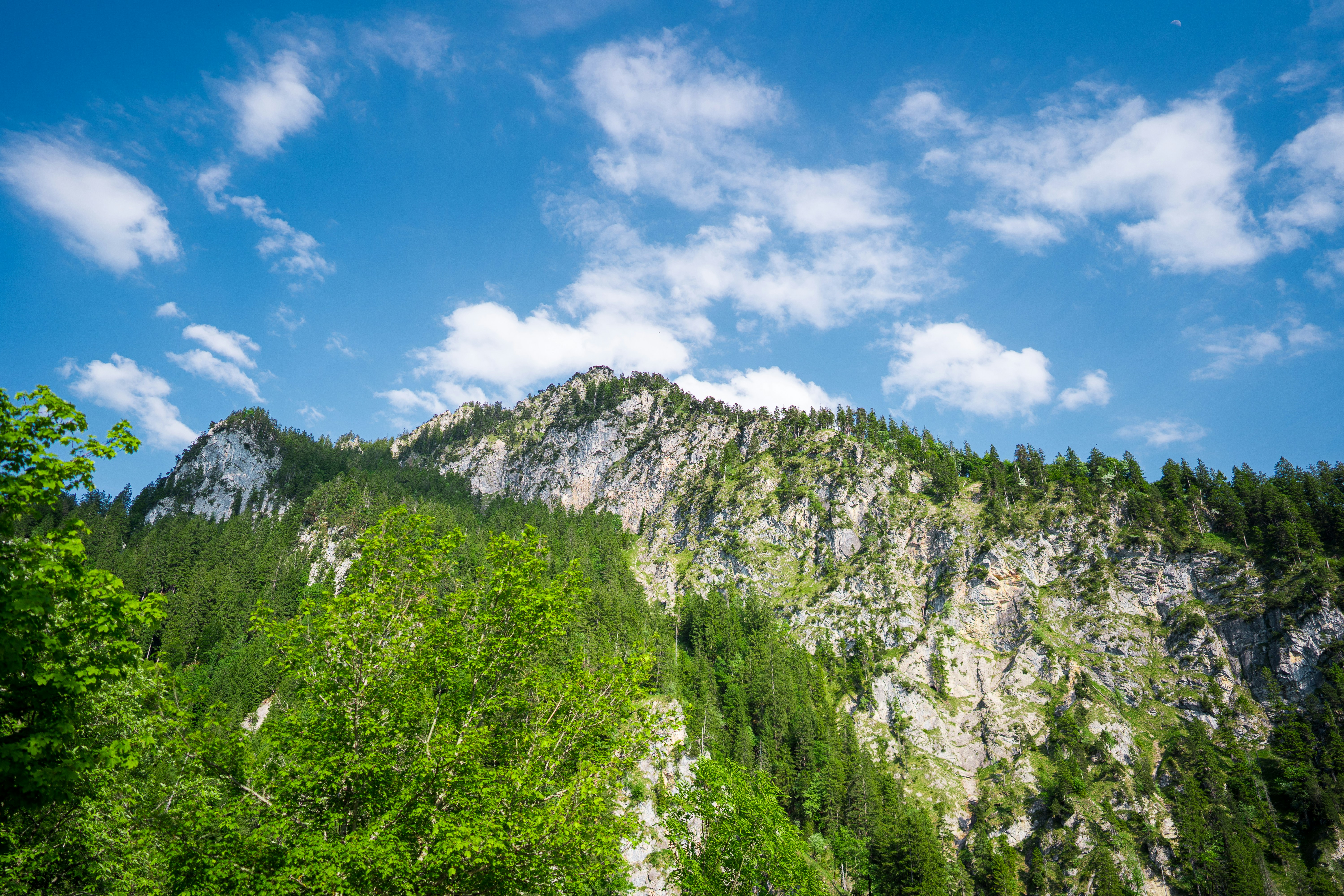 Photo by omarvellous14