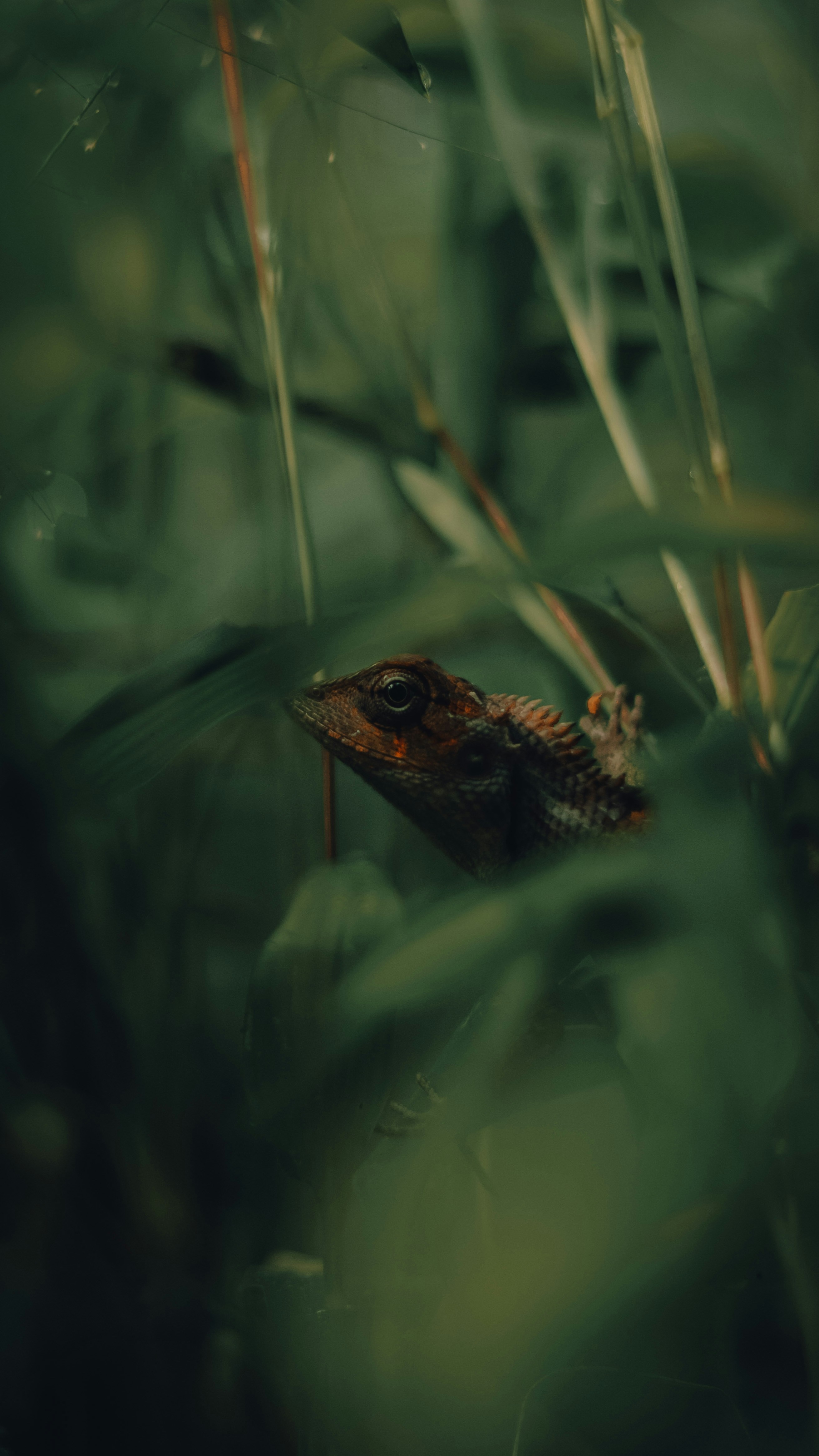 Photo by ftshafi