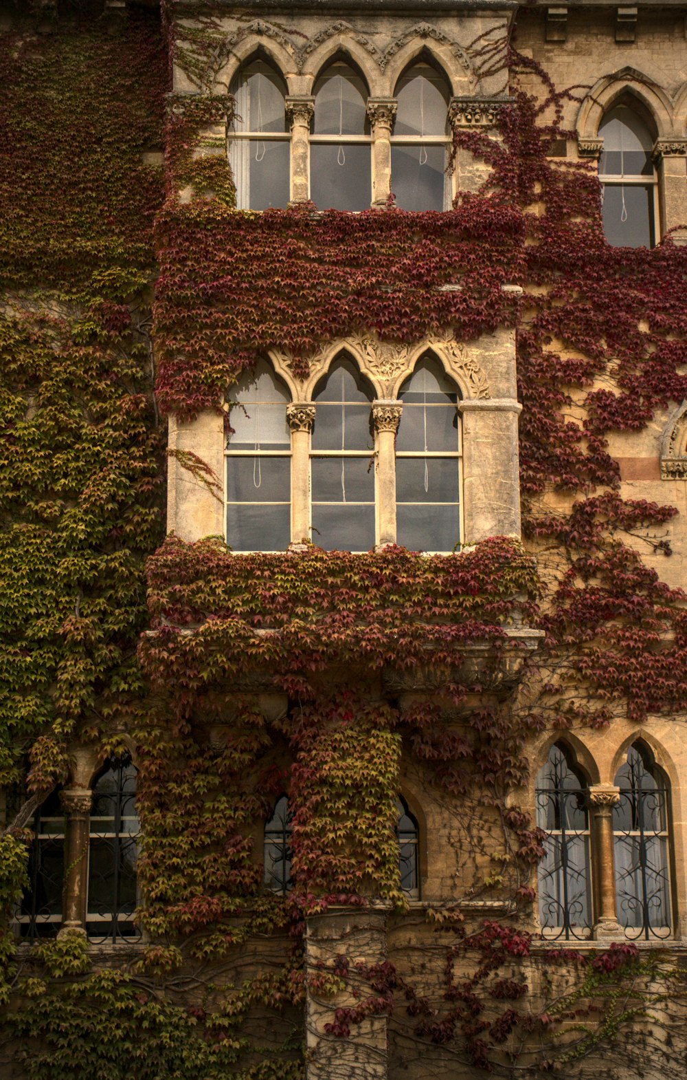 a building with many windows and ivy on the walls