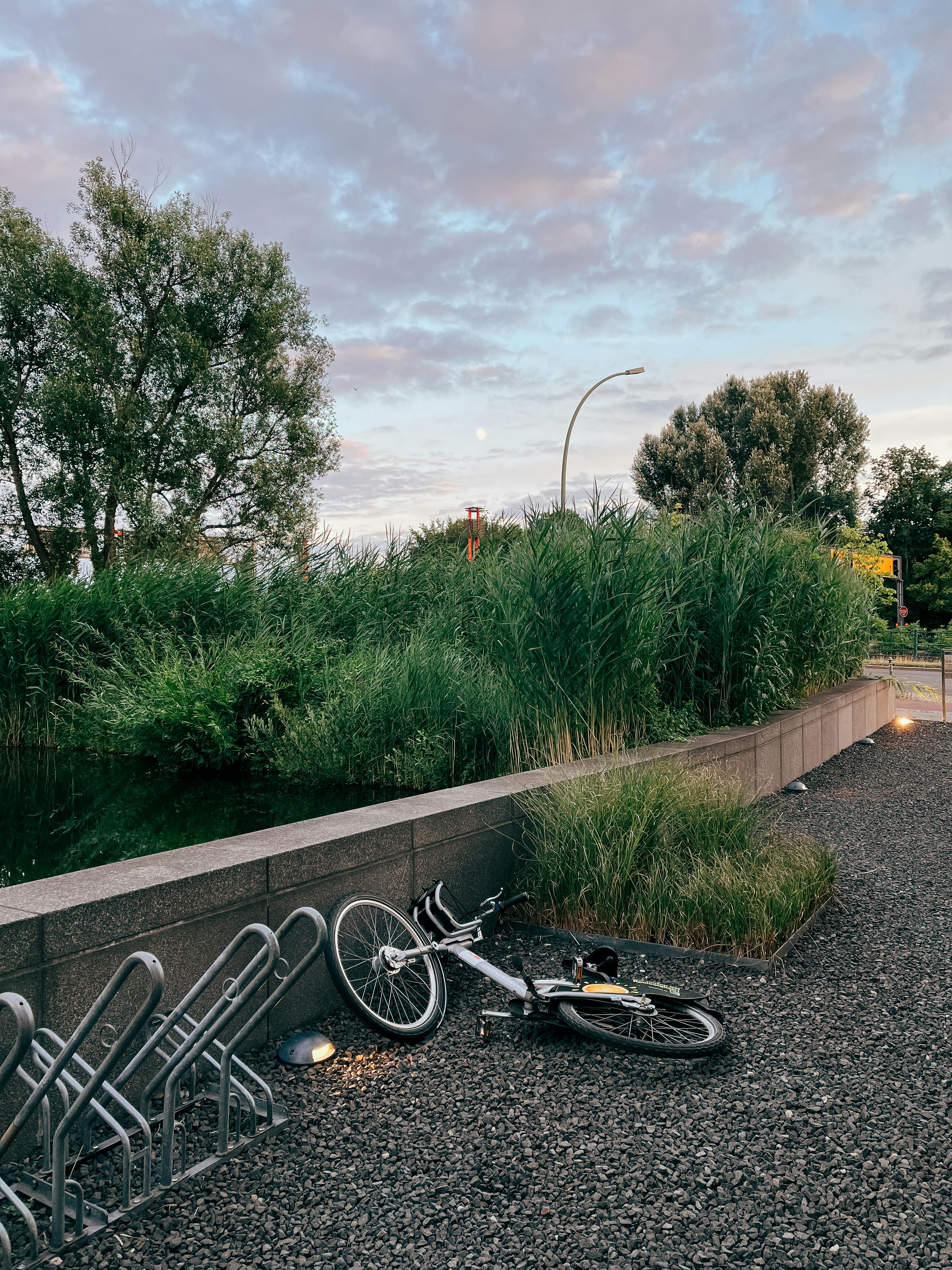 道路に駐車した自転車
