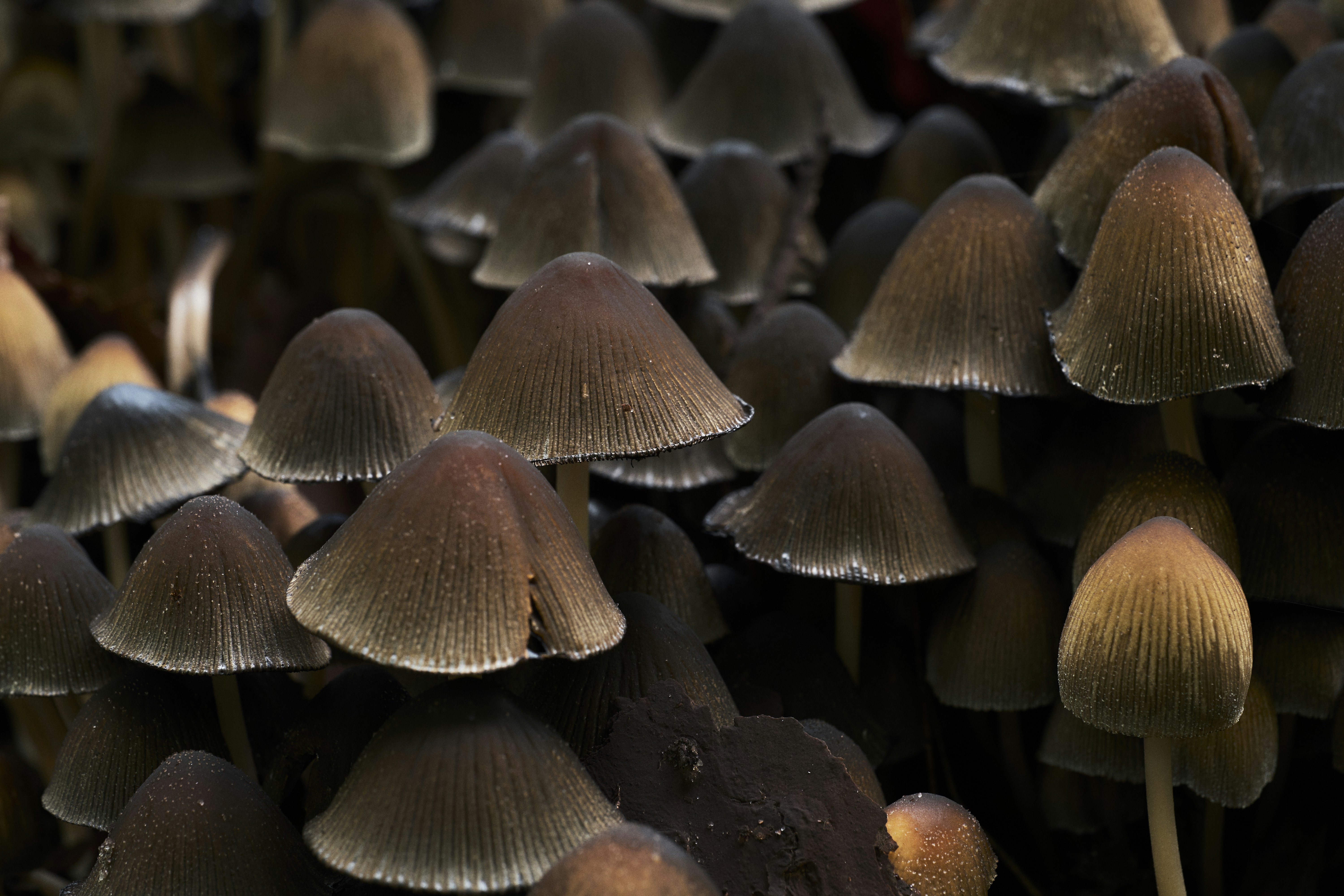 Photo by victor_vector