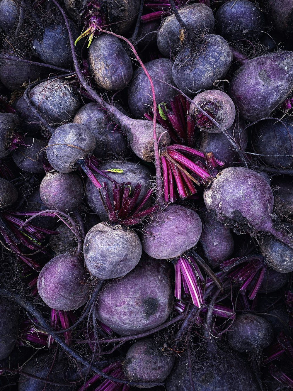 a pile of purple beets