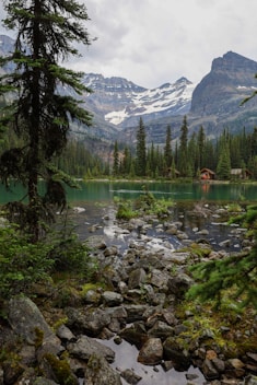 How to visit British Columbia in Canada?