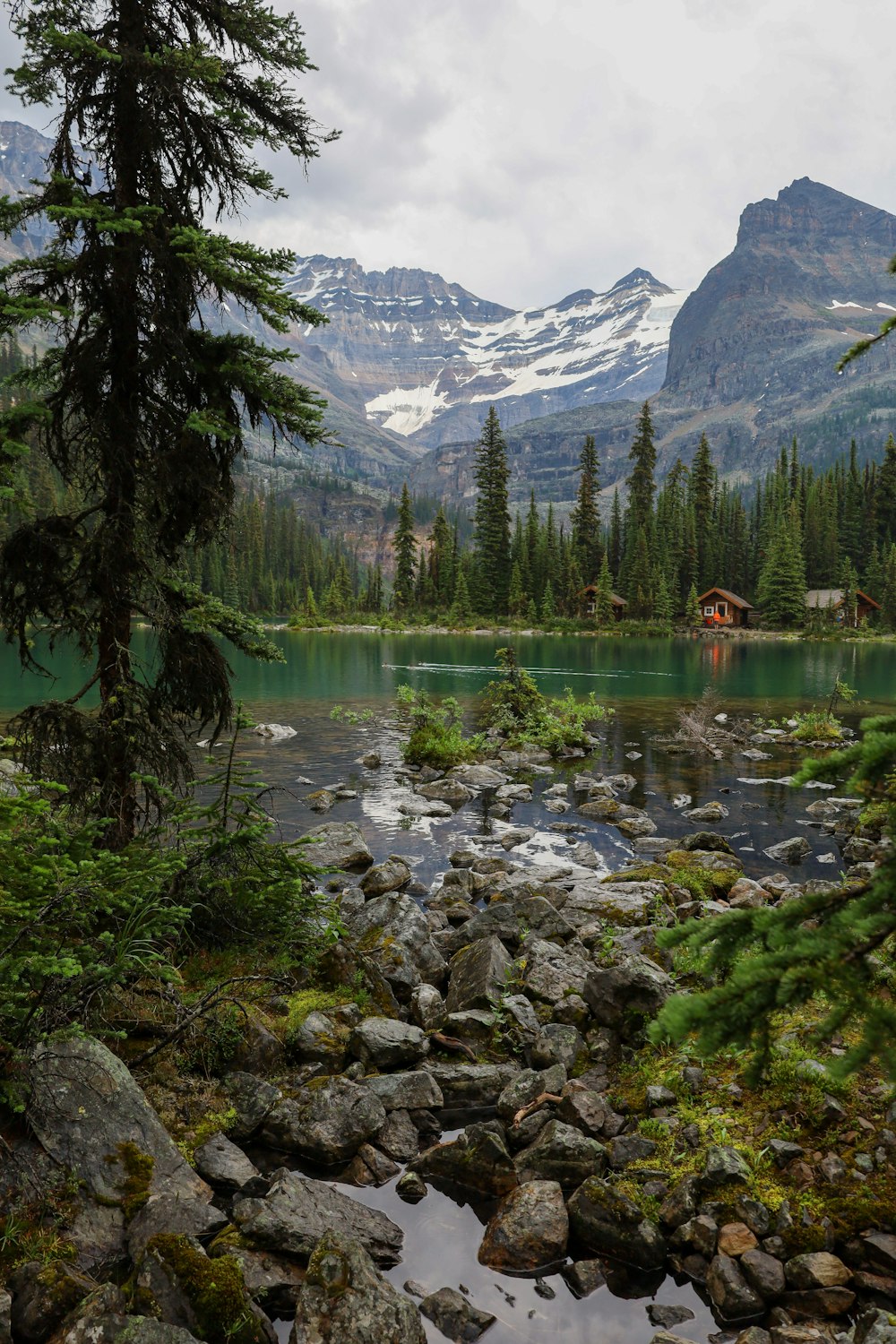 Un lago rodeado de árboles y montañas