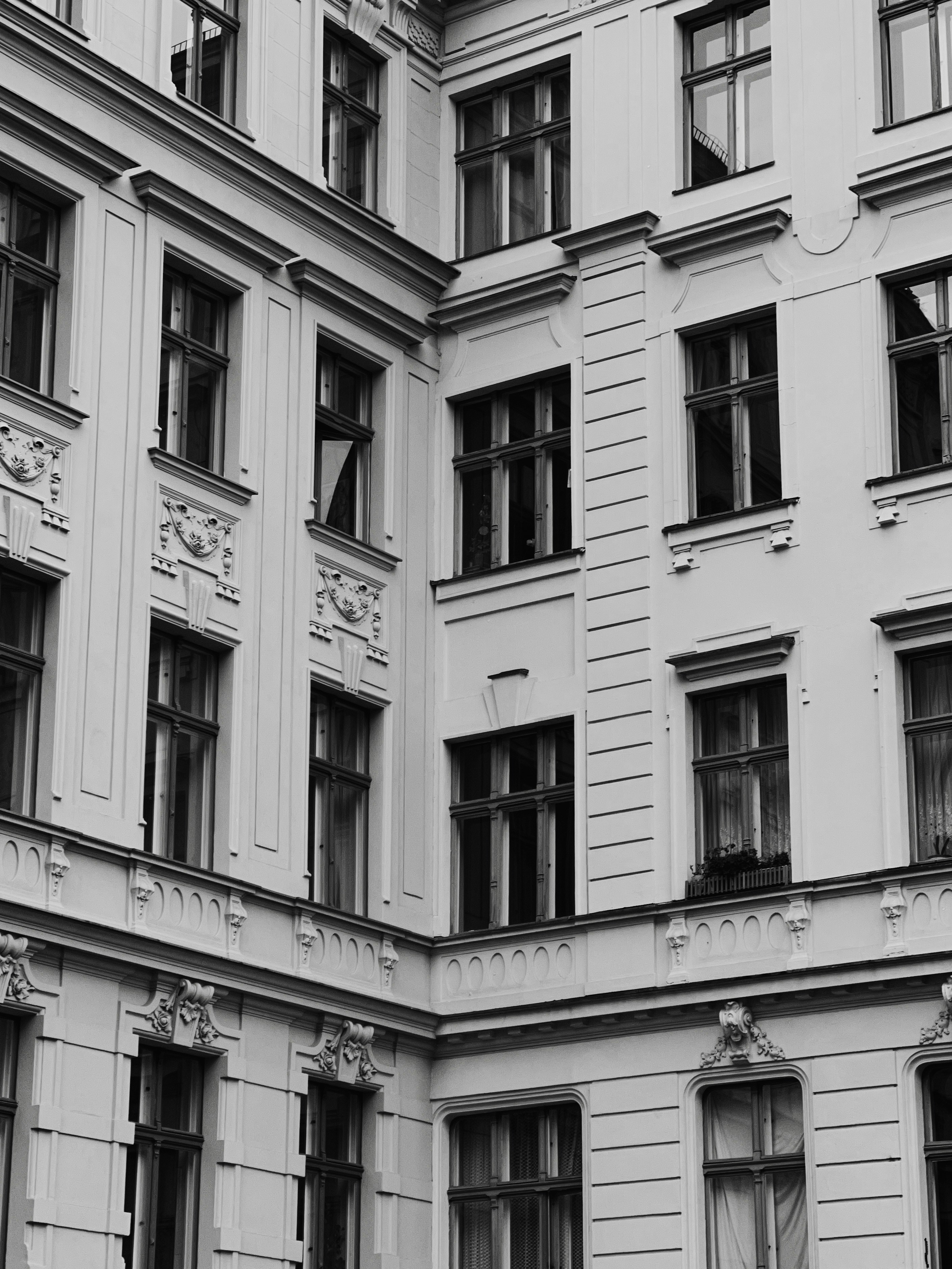 Photo by andrew_b_young