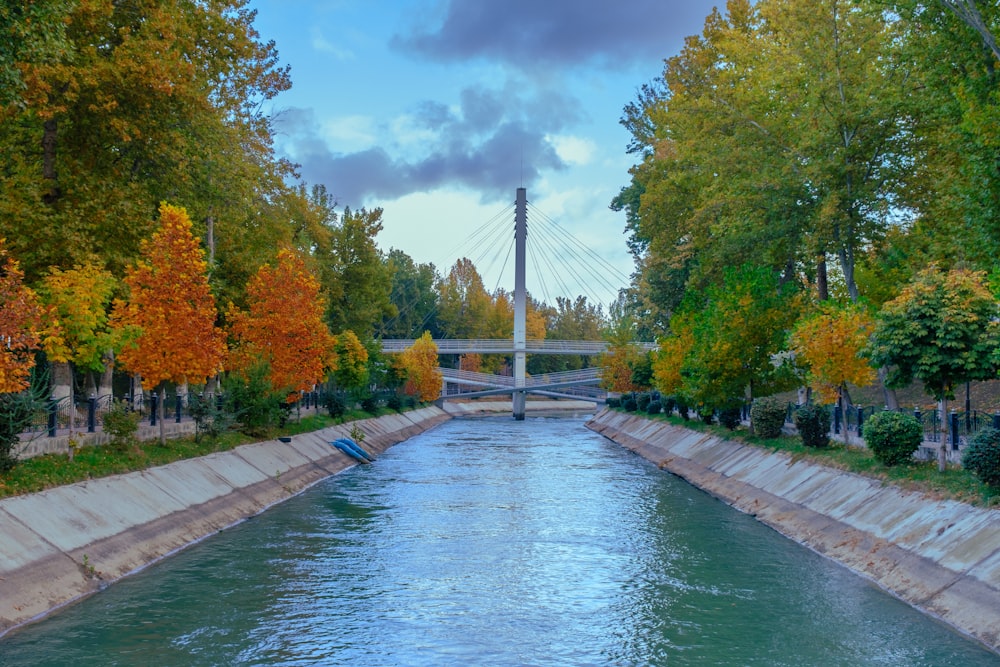 a river with a bridge and trees around it