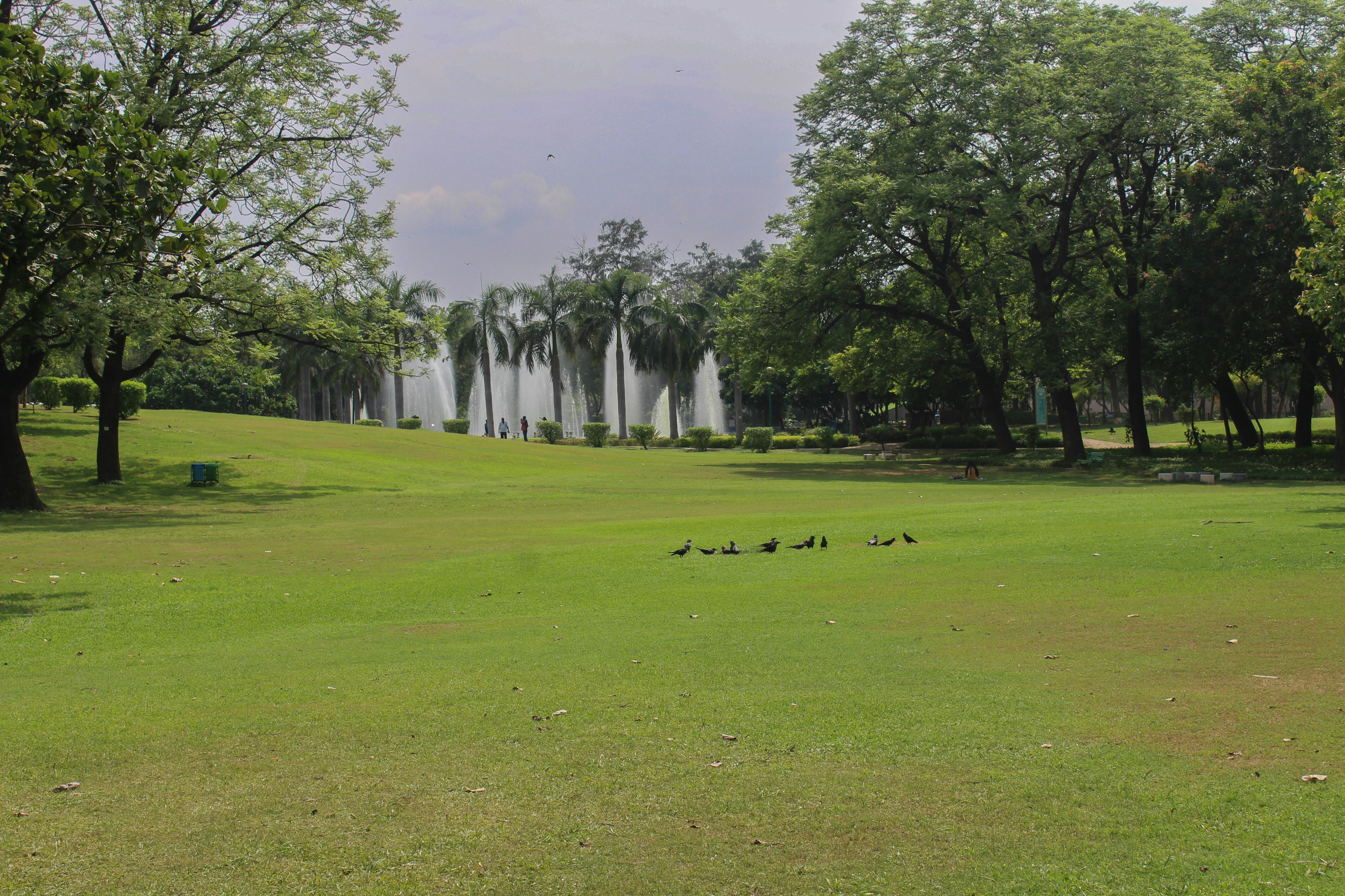 Delhi Township Veterans Memorial Park