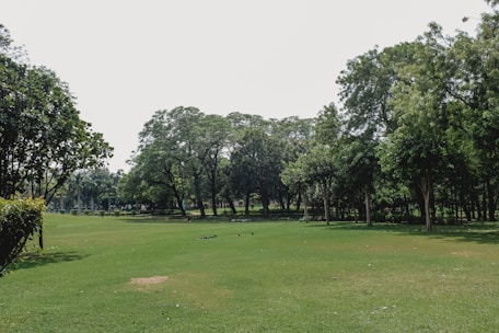 A lush green park with expansive grass and a variety of trees under a bright sky. The area is open with plenty of room for recreational activities and features dense trees providing shade.