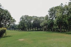 Zona verde con árboles y espacio abierto para actividades al aire libre.