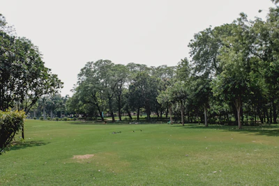 Lush green park area within Sai Sun City where families enjoy outdoor activities.