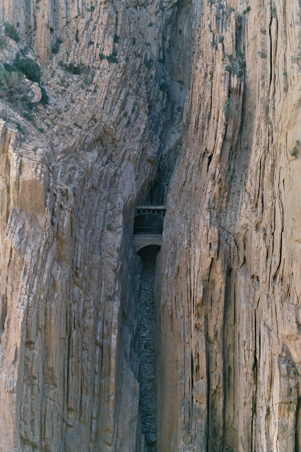 a small building in a tree