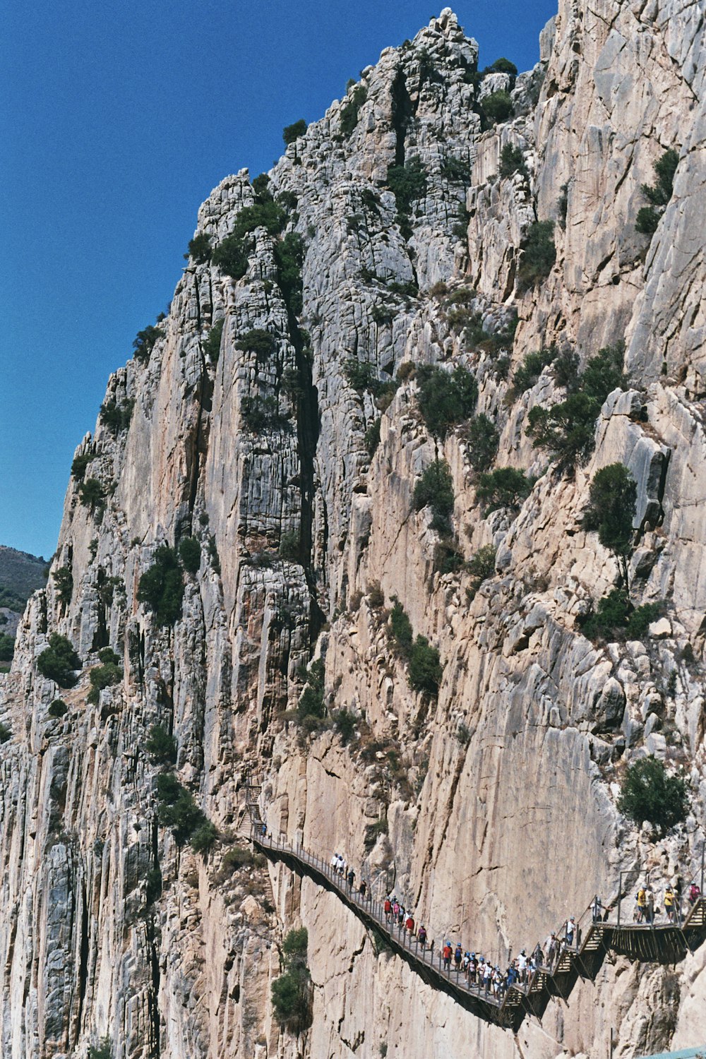 a group of people on a cliff