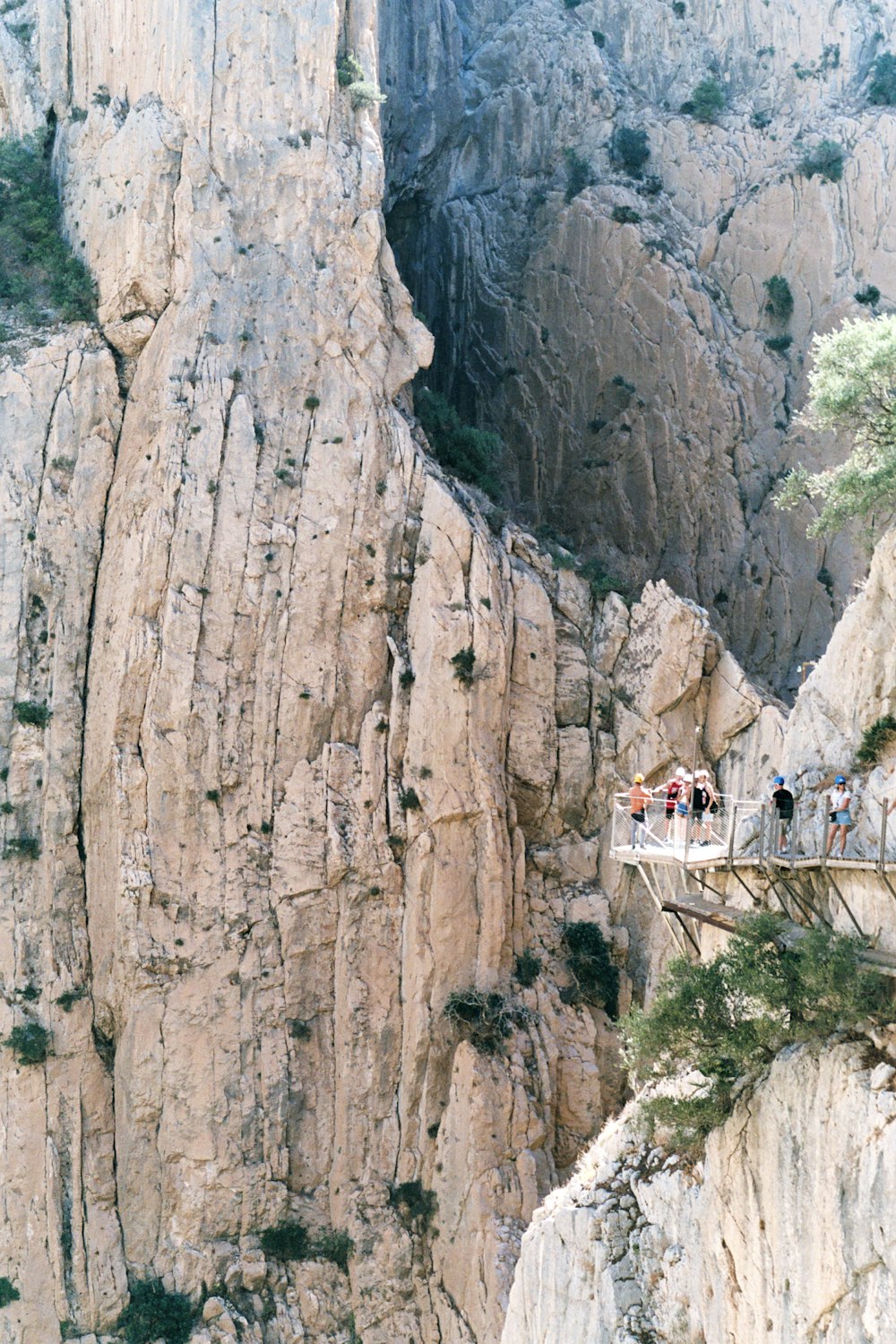a group of people standing on a bridge over a cliff