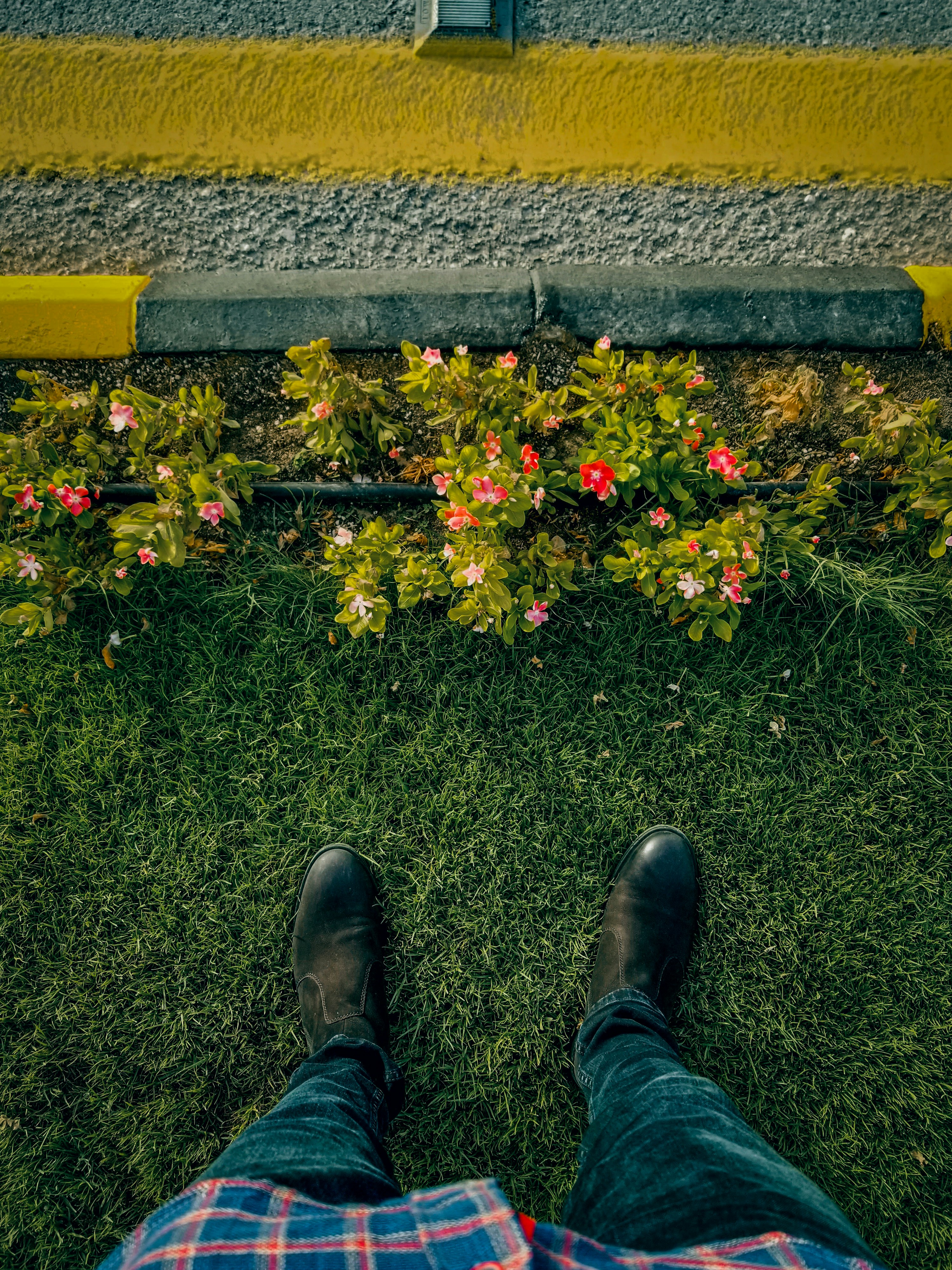 Photo by isahidul473