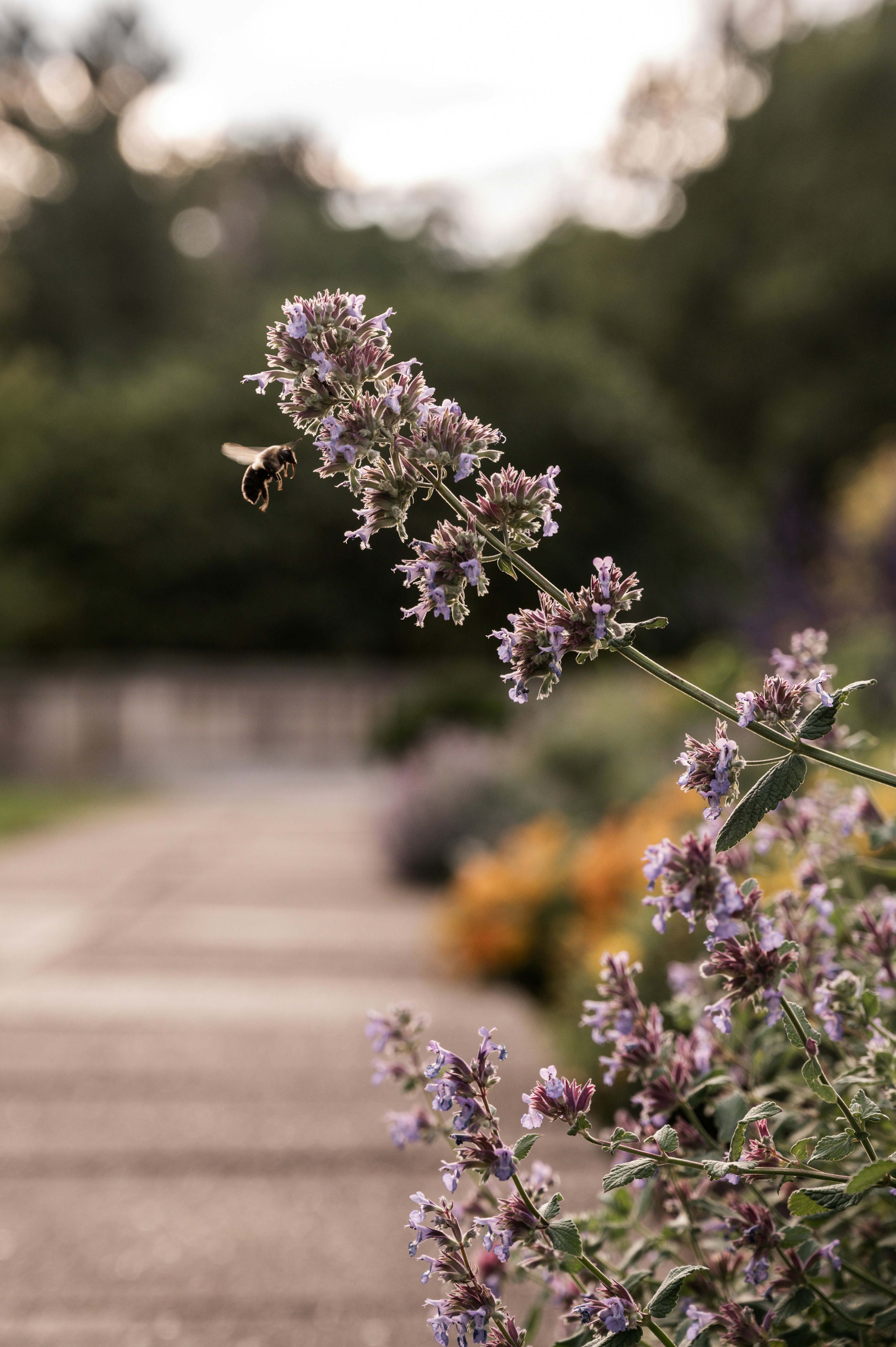 Photo by mariahhewines