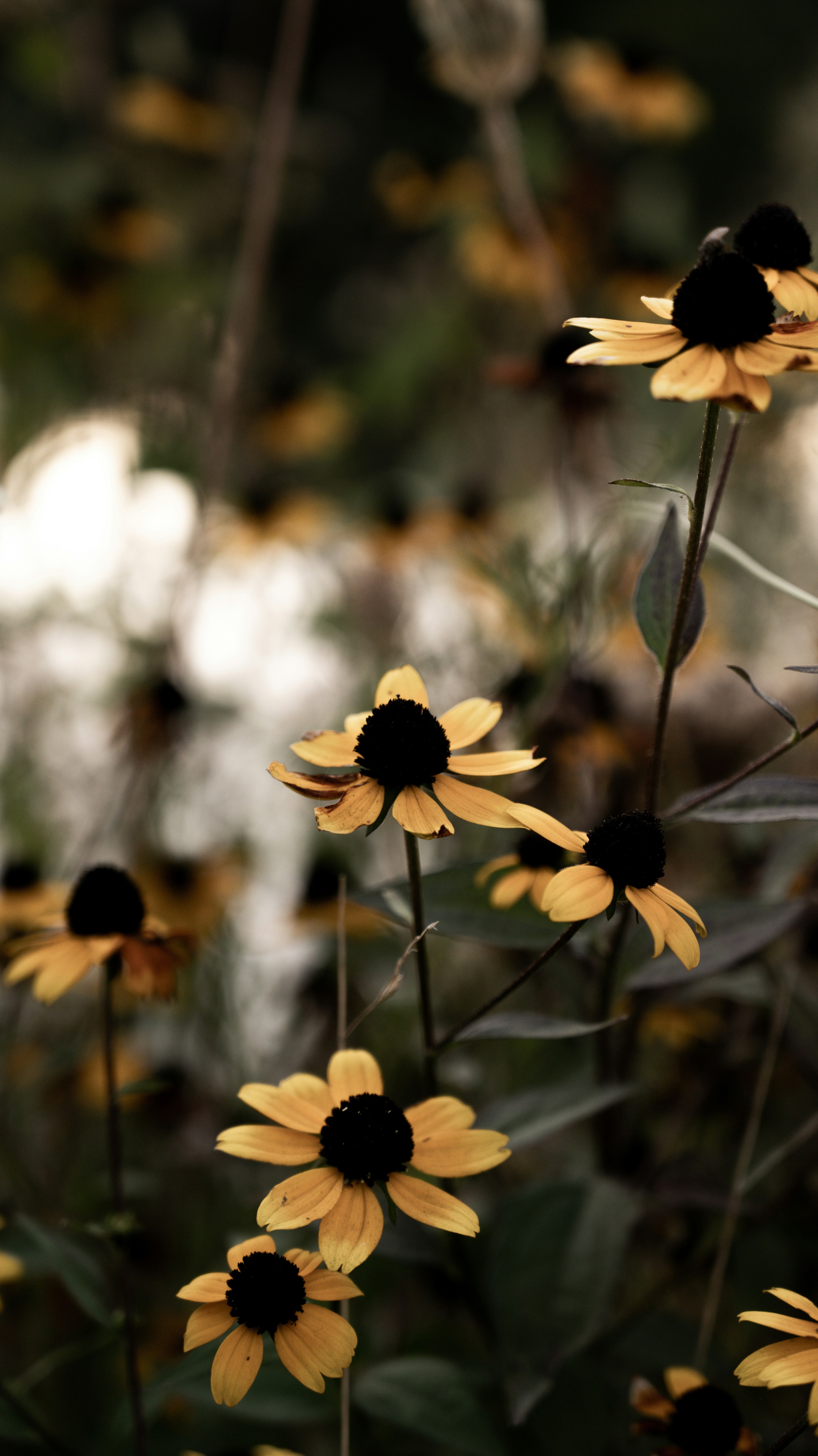 Photo by mariahhewines