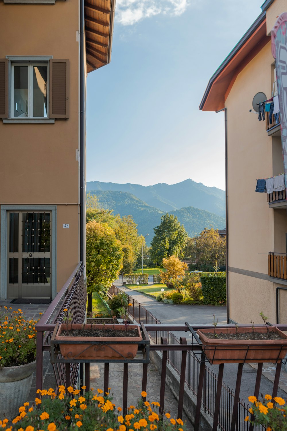 a view of a street and some trees and mountains