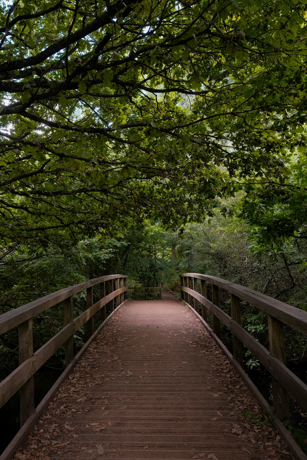 a wooden bridge with trees on either side of it