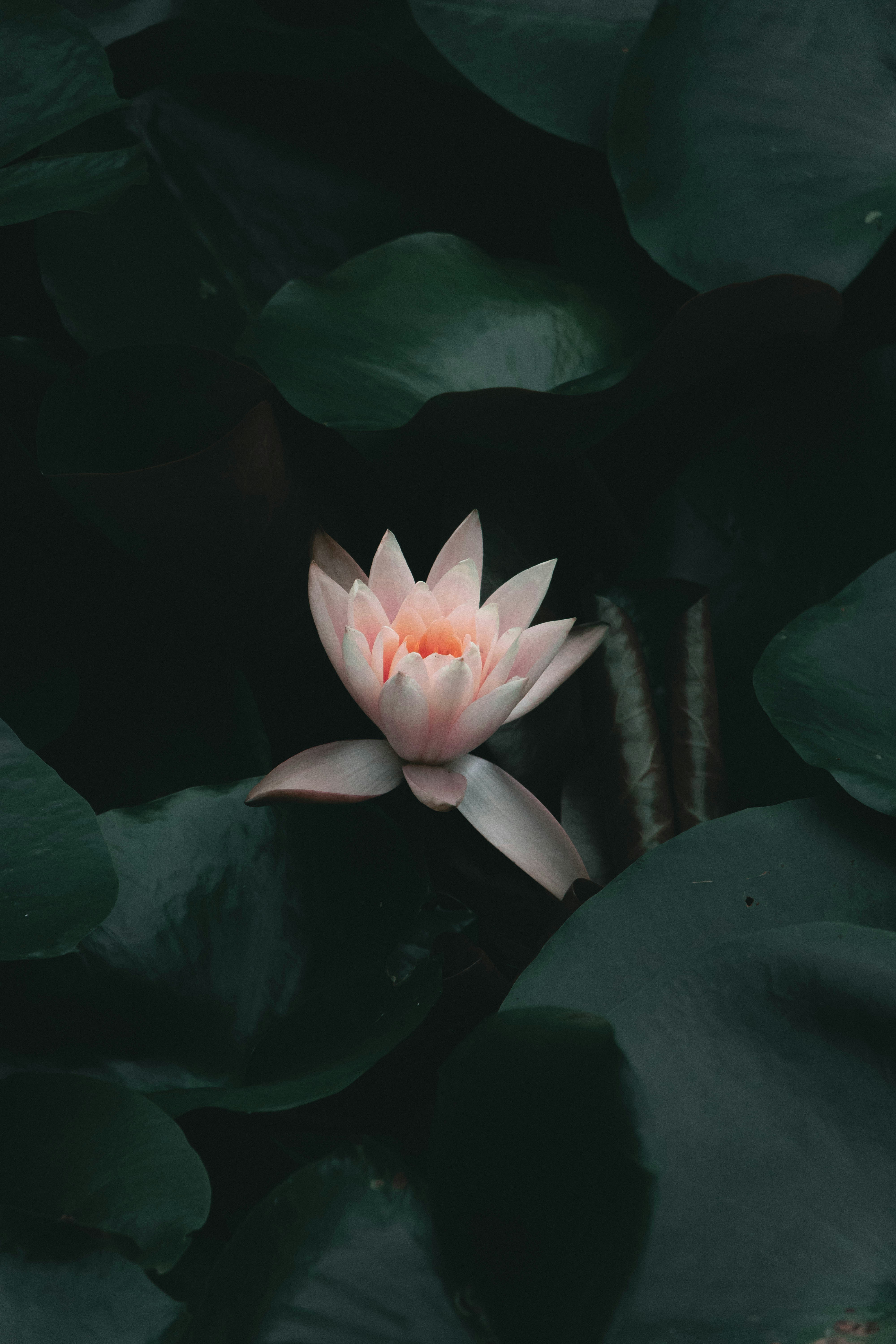 Photo by chriswong97